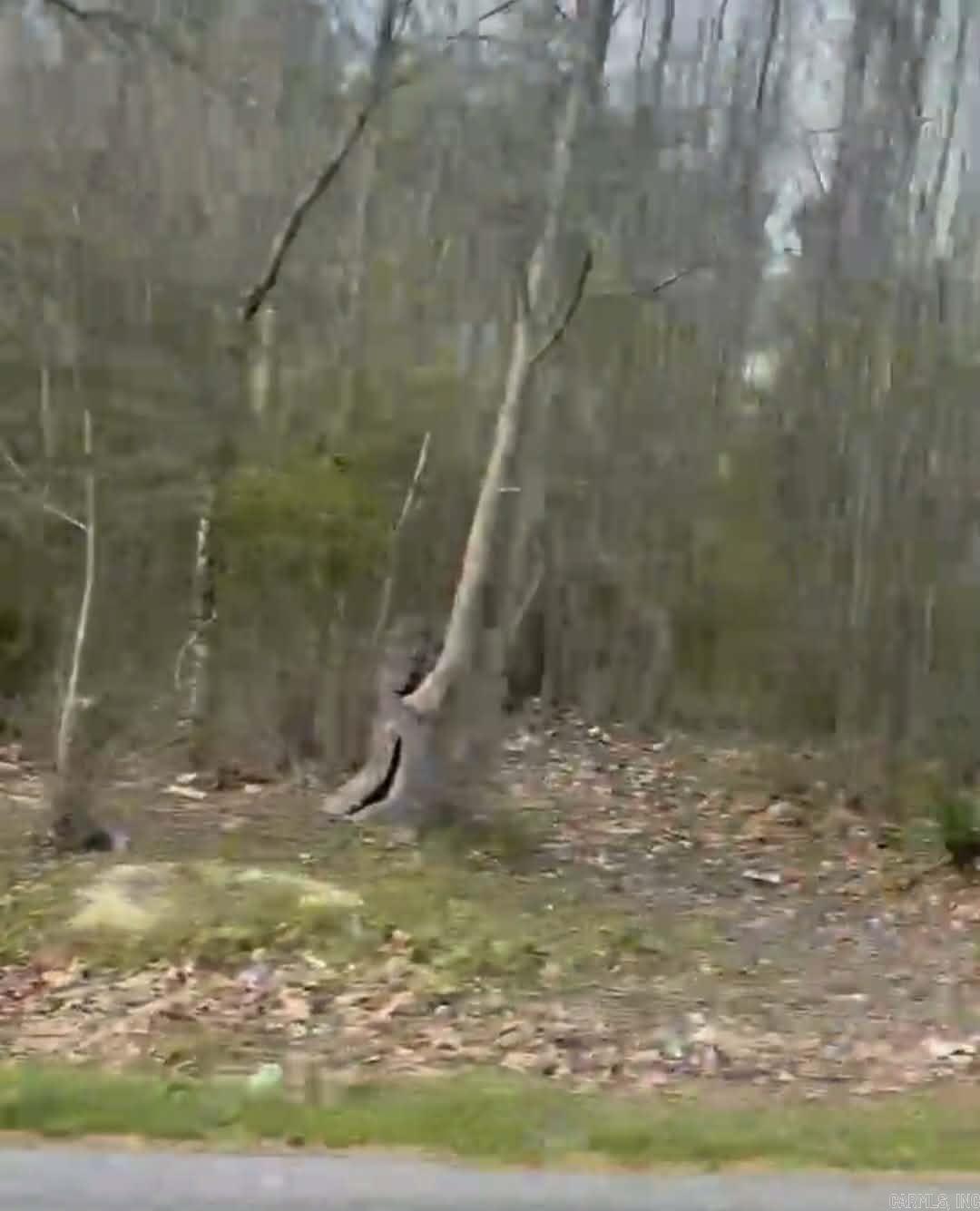  Shannon & Oakwood  Pine Bluff, AR