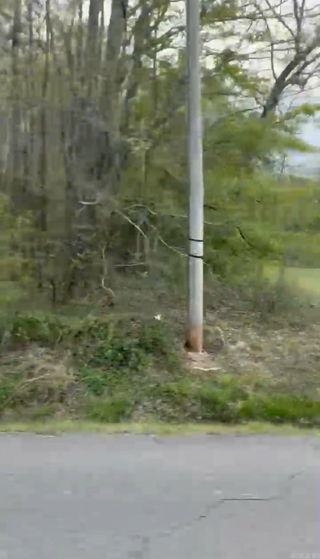  Shannon & Oakwood  Pine Bluff, AR