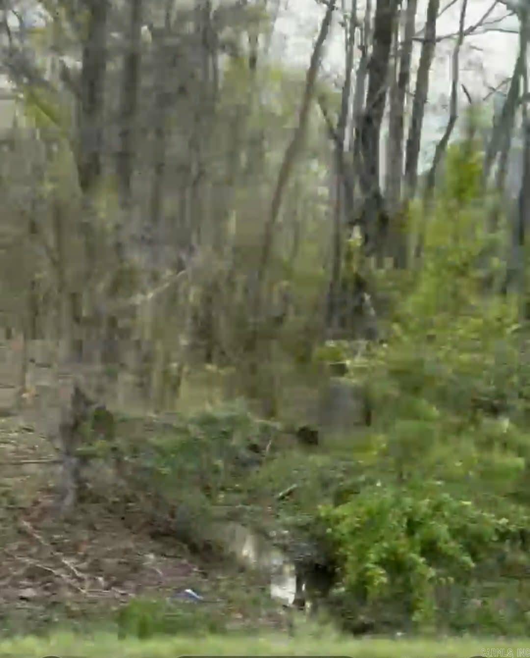  Shannon & Oakwood  Pine Bluff, AR