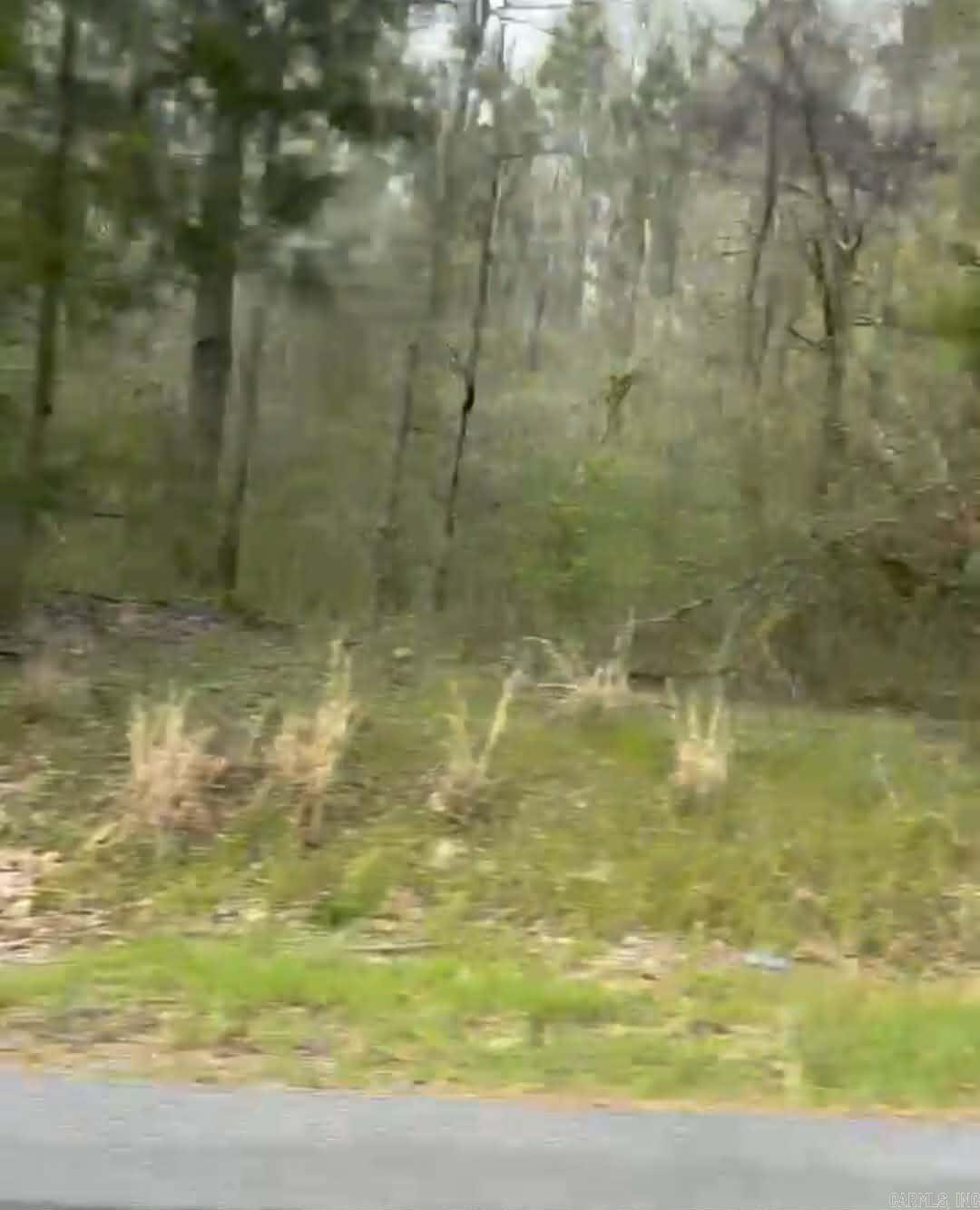  Shannon & Oakwood  Pine Bluff, AR