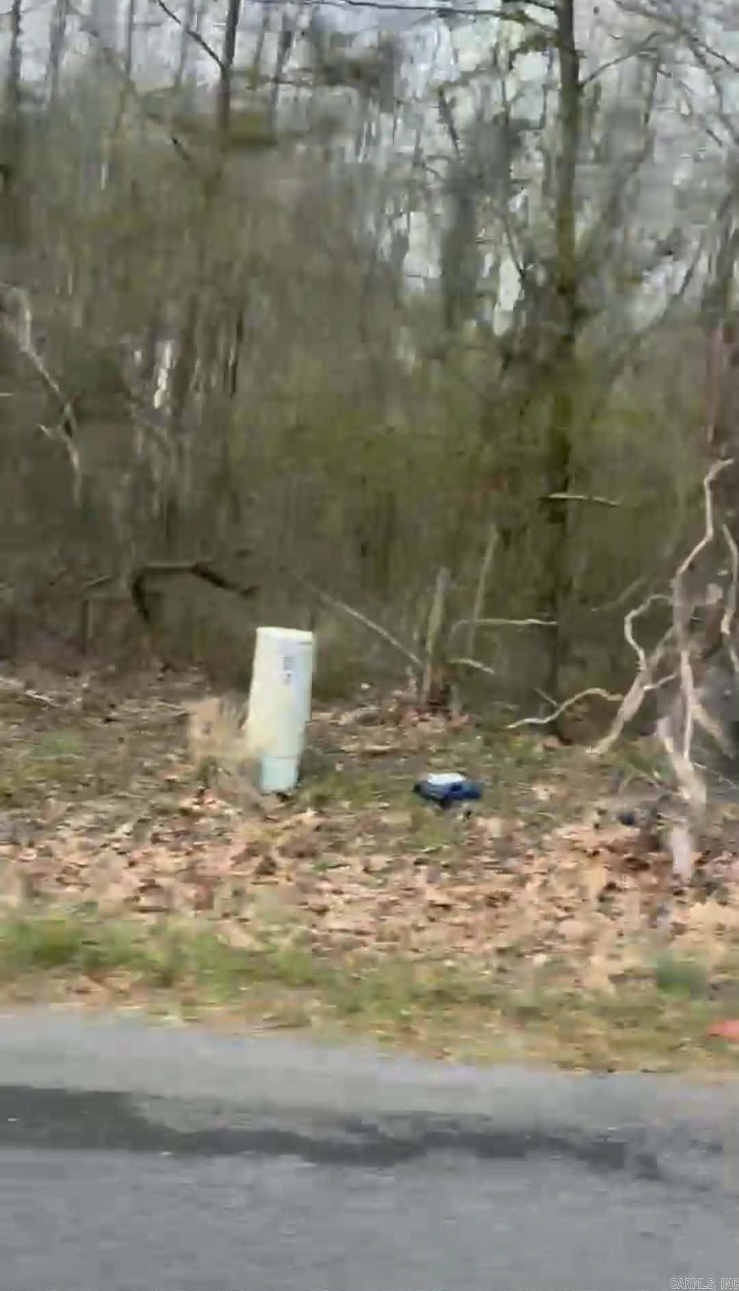  Shannon & Oakwood  Pine Bluff, AR