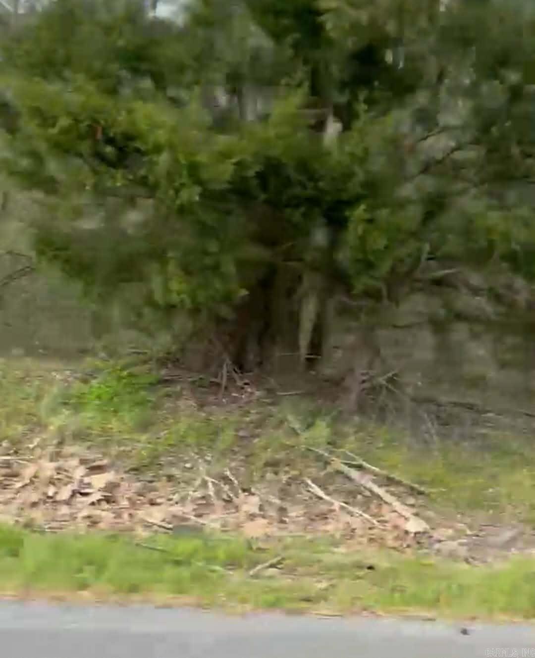  Shannon & Oakwood  Pine Bluff, AR