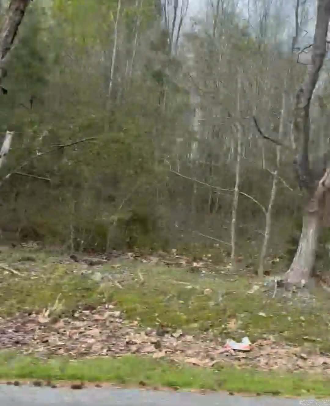  Shannon & Oakwood  Pine Bluff, AR