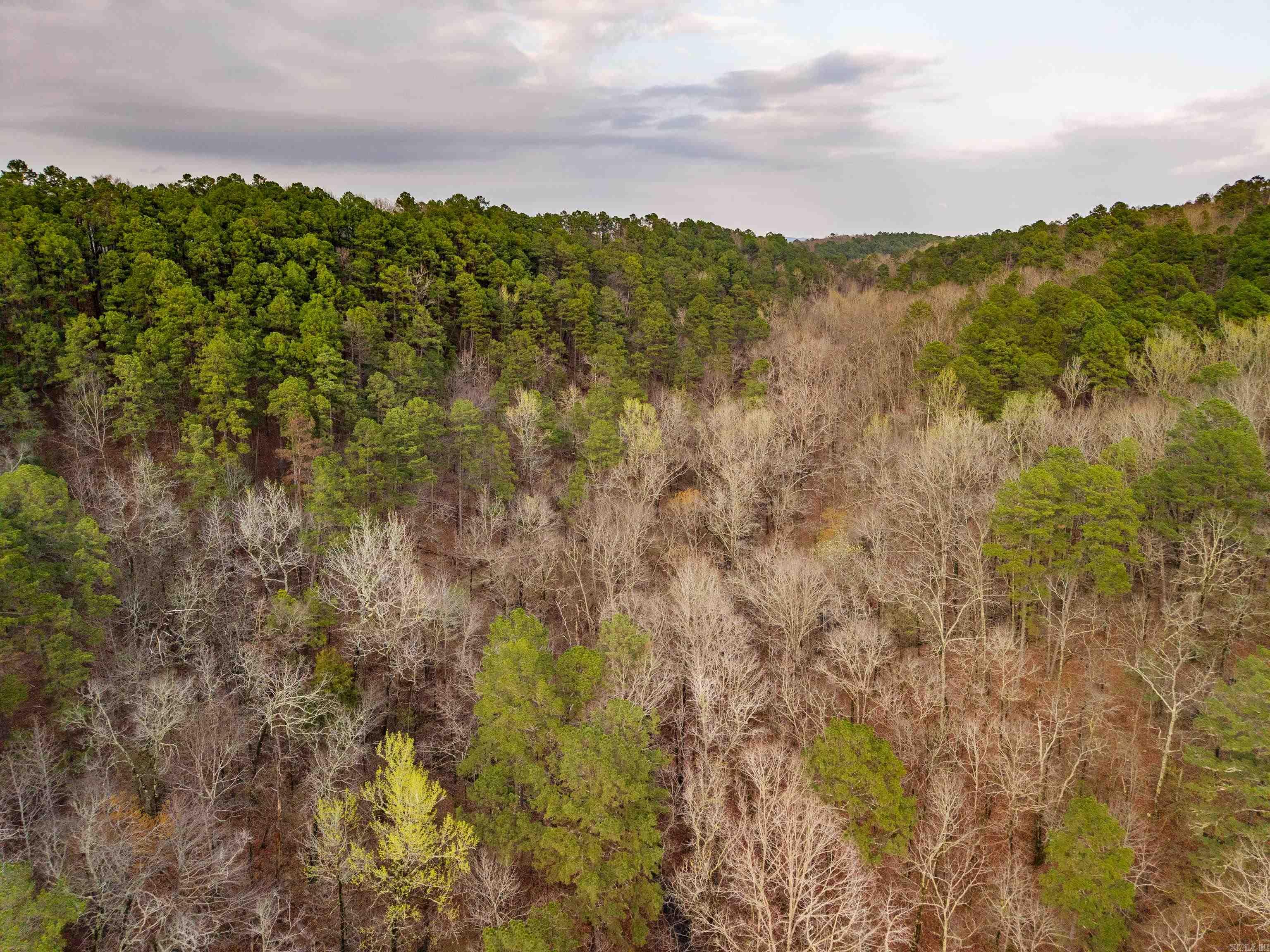 000 Hickory Hill 000 Ohio Dr Hot Springs, AR