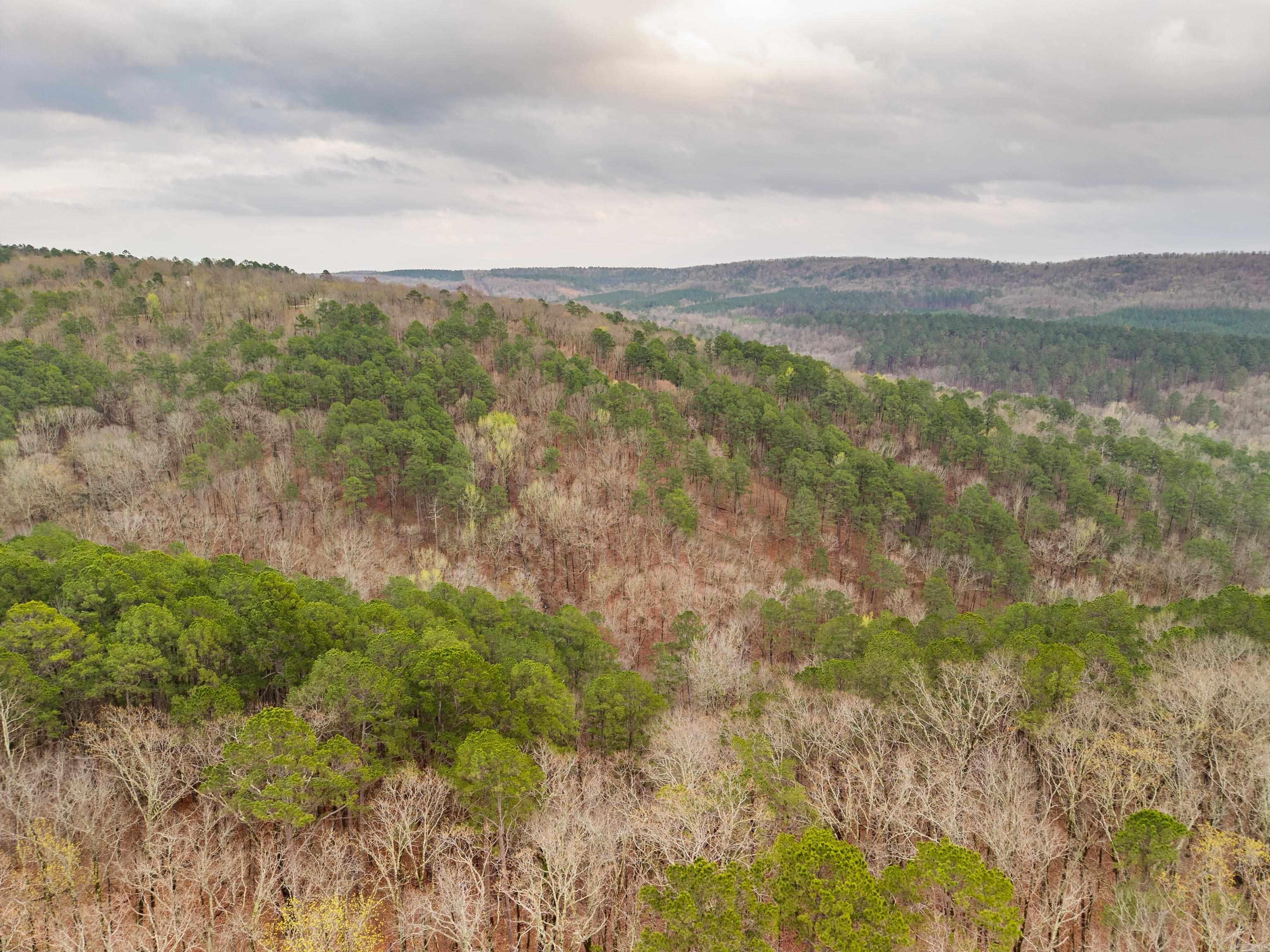 000 Hickory Hill 000 Ohio Dr Hot Springs, AR