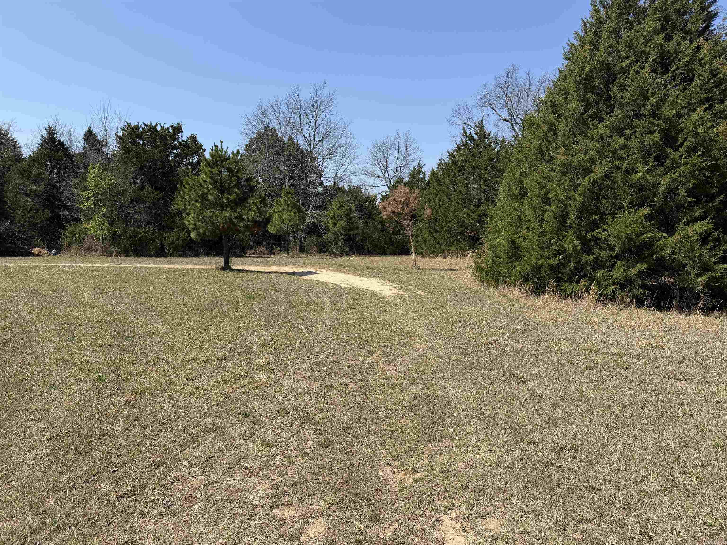6233 Sunny Fox Rd Mountain View, AR 72560