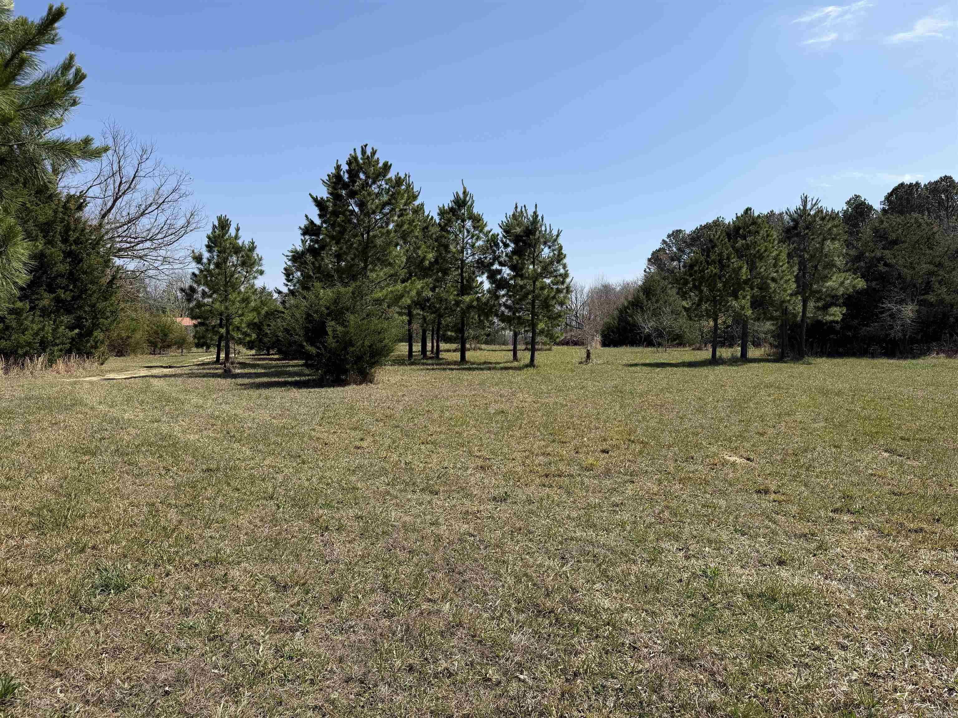 6233 Sunny Fox Rd Mountain View, AR 72560