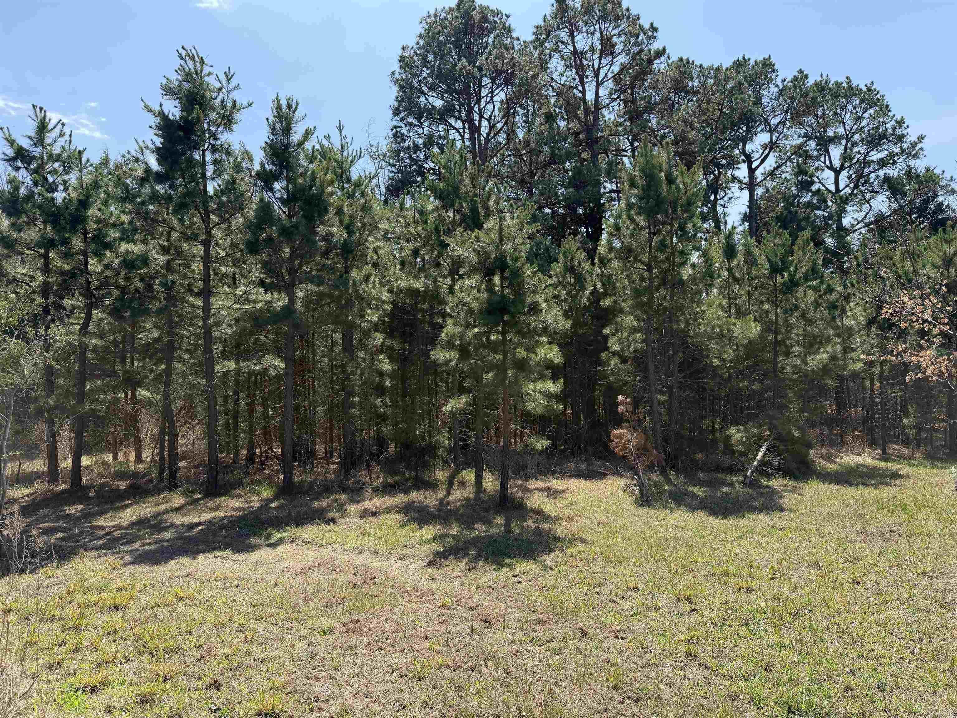 6233 Sunny Fox Rd Mountain View, AR 72560