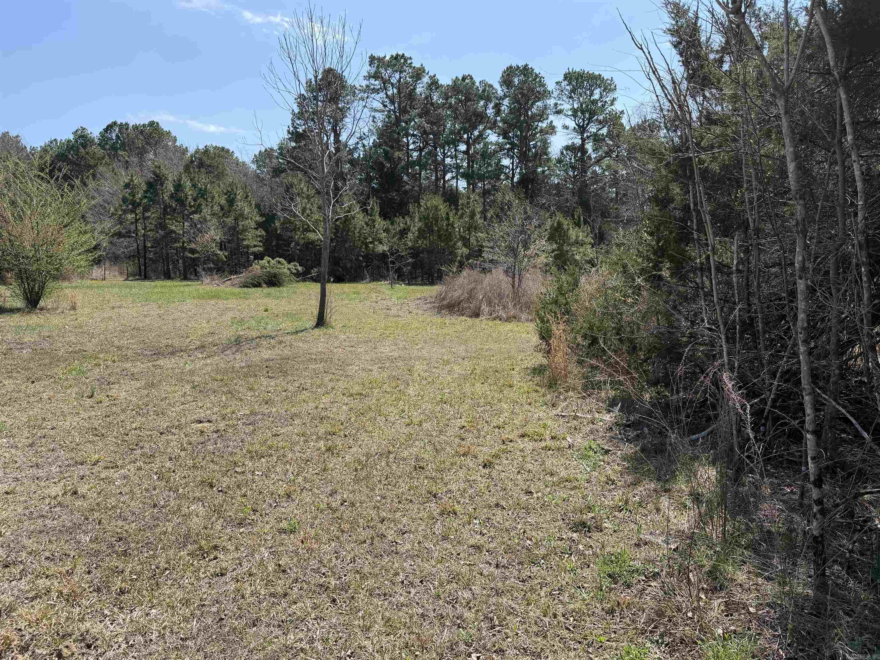 6233 Sunny Fox Rd Mountain View, AR 72560