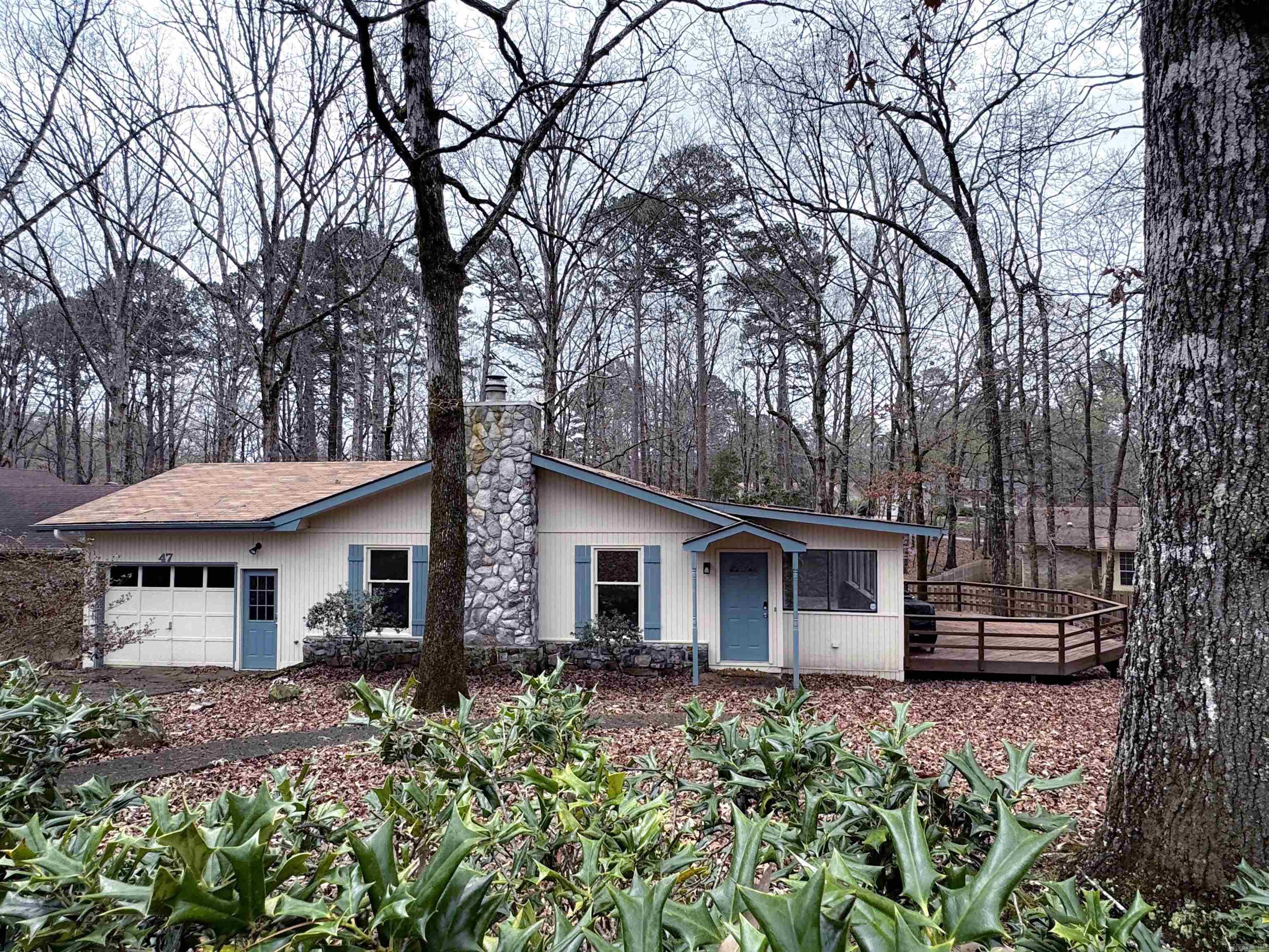 47 Segovia  Hot Springs Village, AR