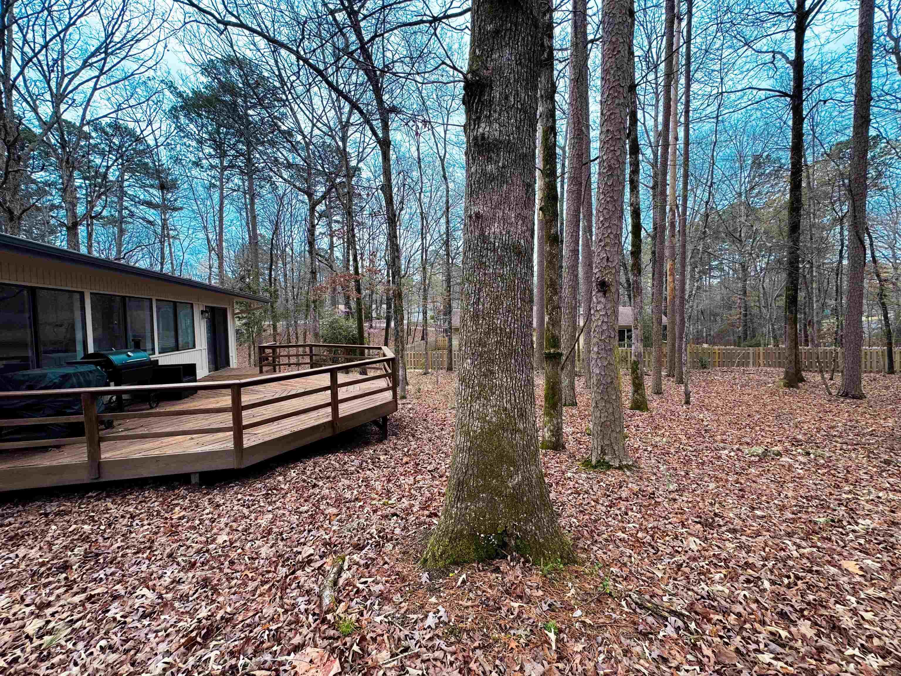 47 Segovia  Hot Springs Village, AR