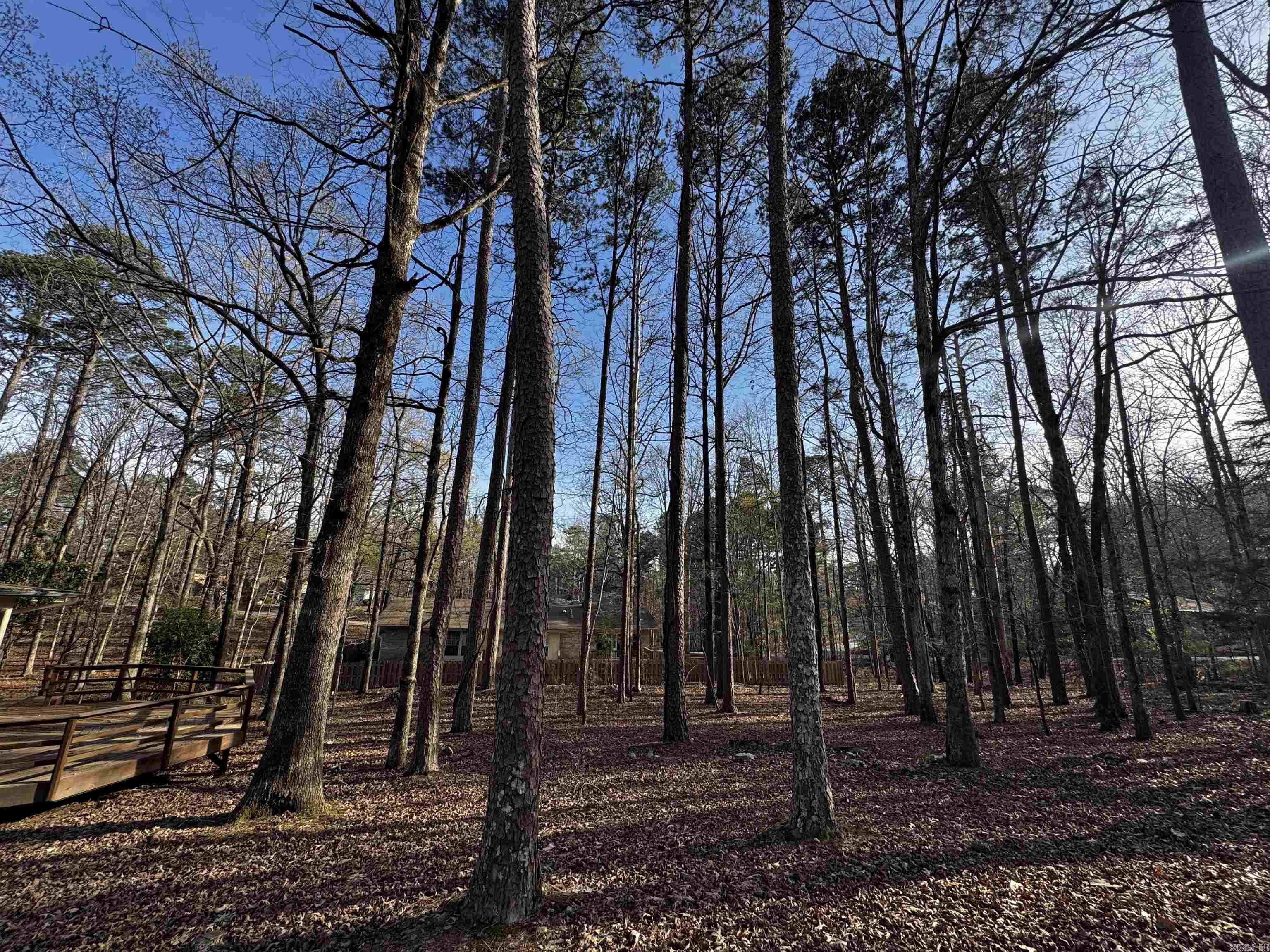 47 Segovia  Hot Springs Village, AR