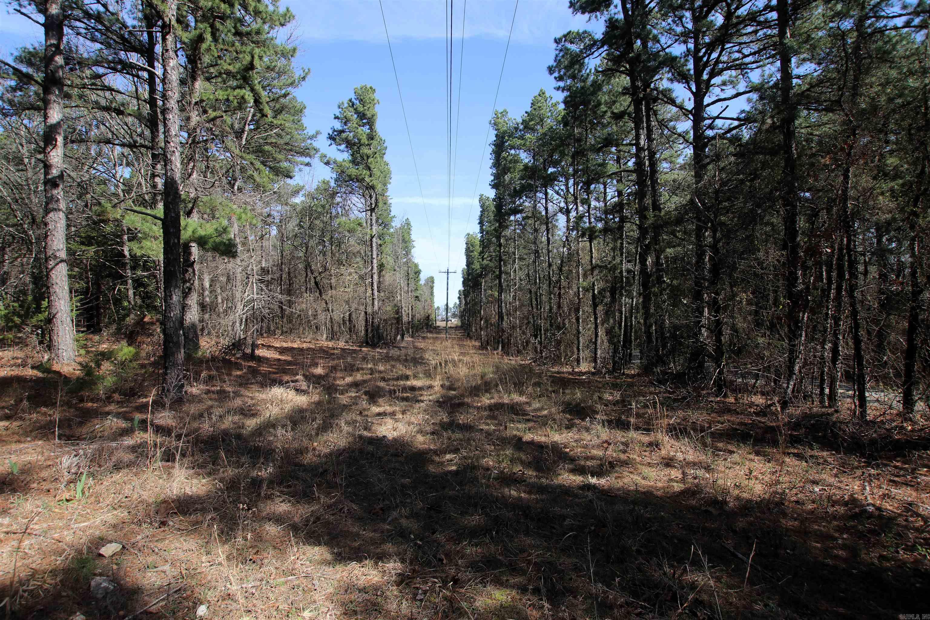 2986 E Mountain  Clinton, AR