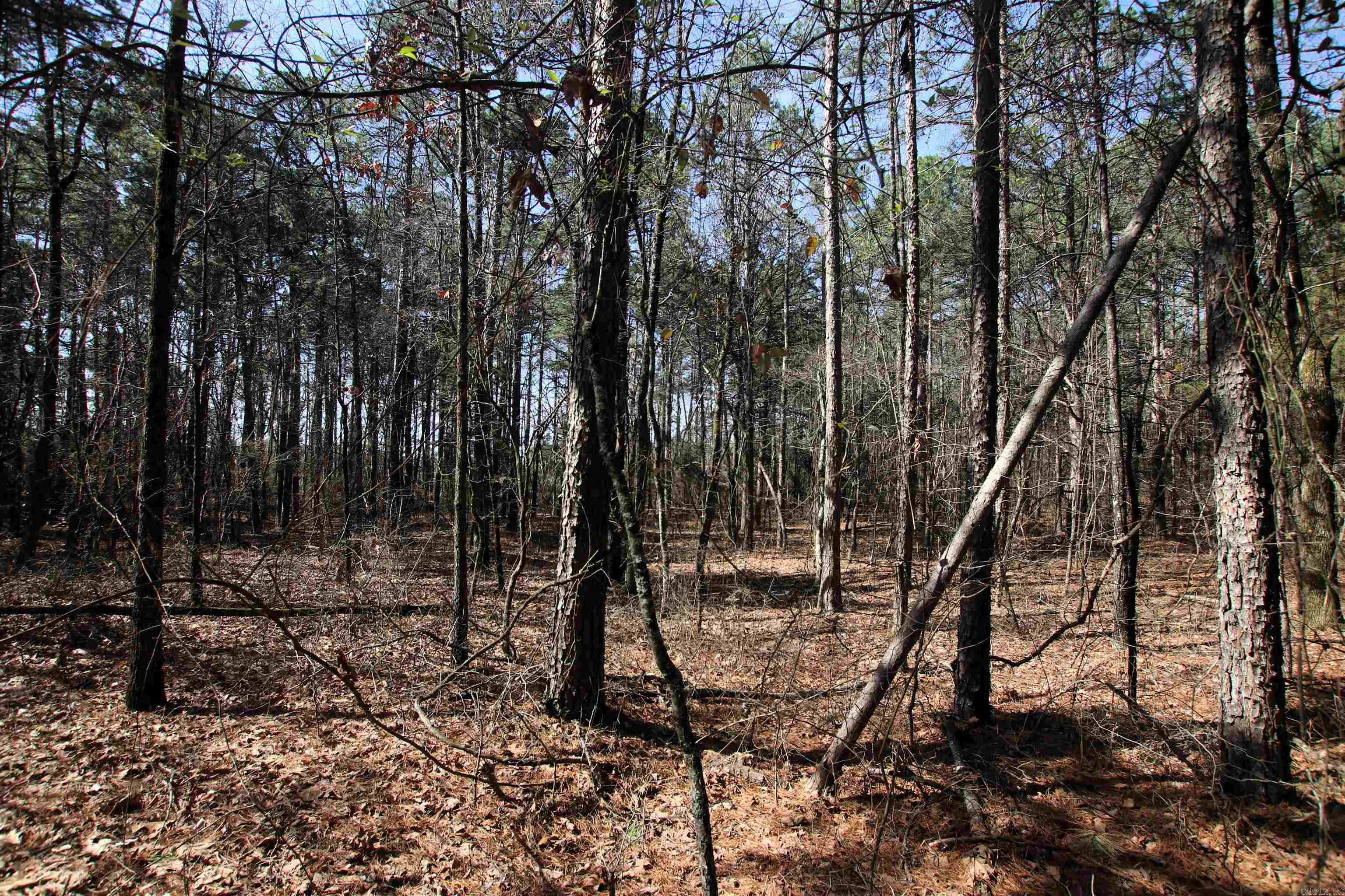 2986 E Mountain  Clinton, AR