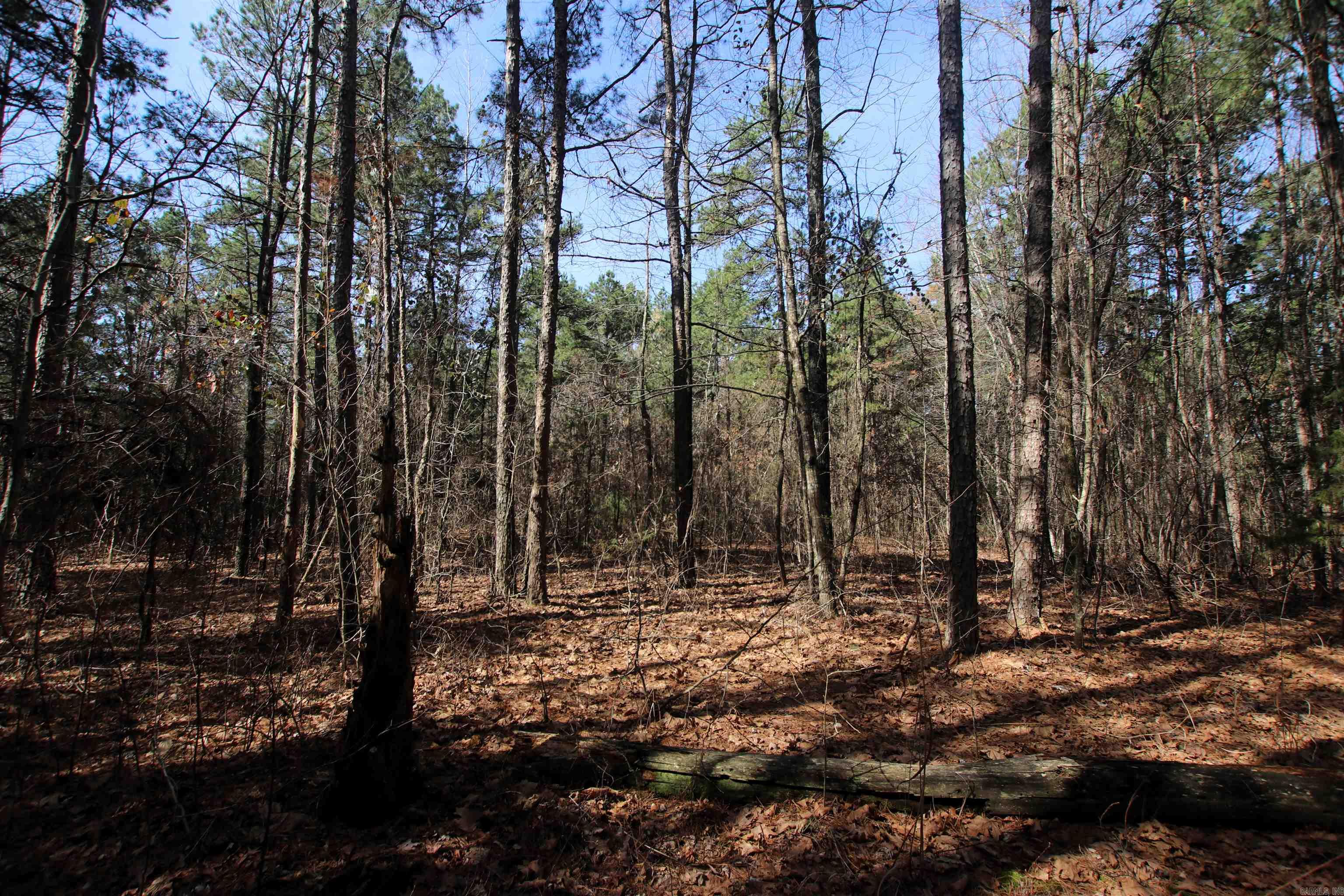 2986 E Mountain  Clinton, AR