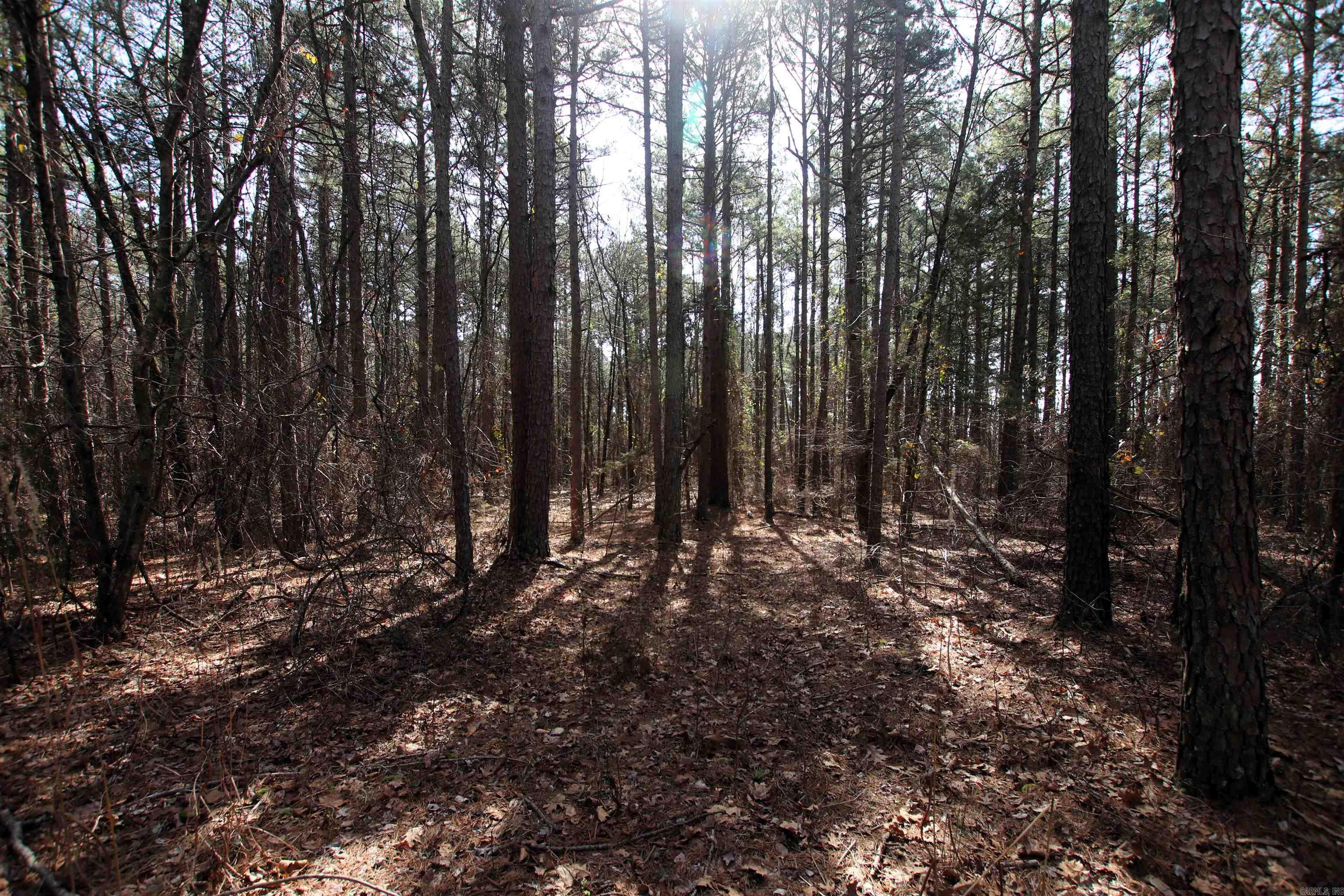 2986 E Mountain  Clinton, AR