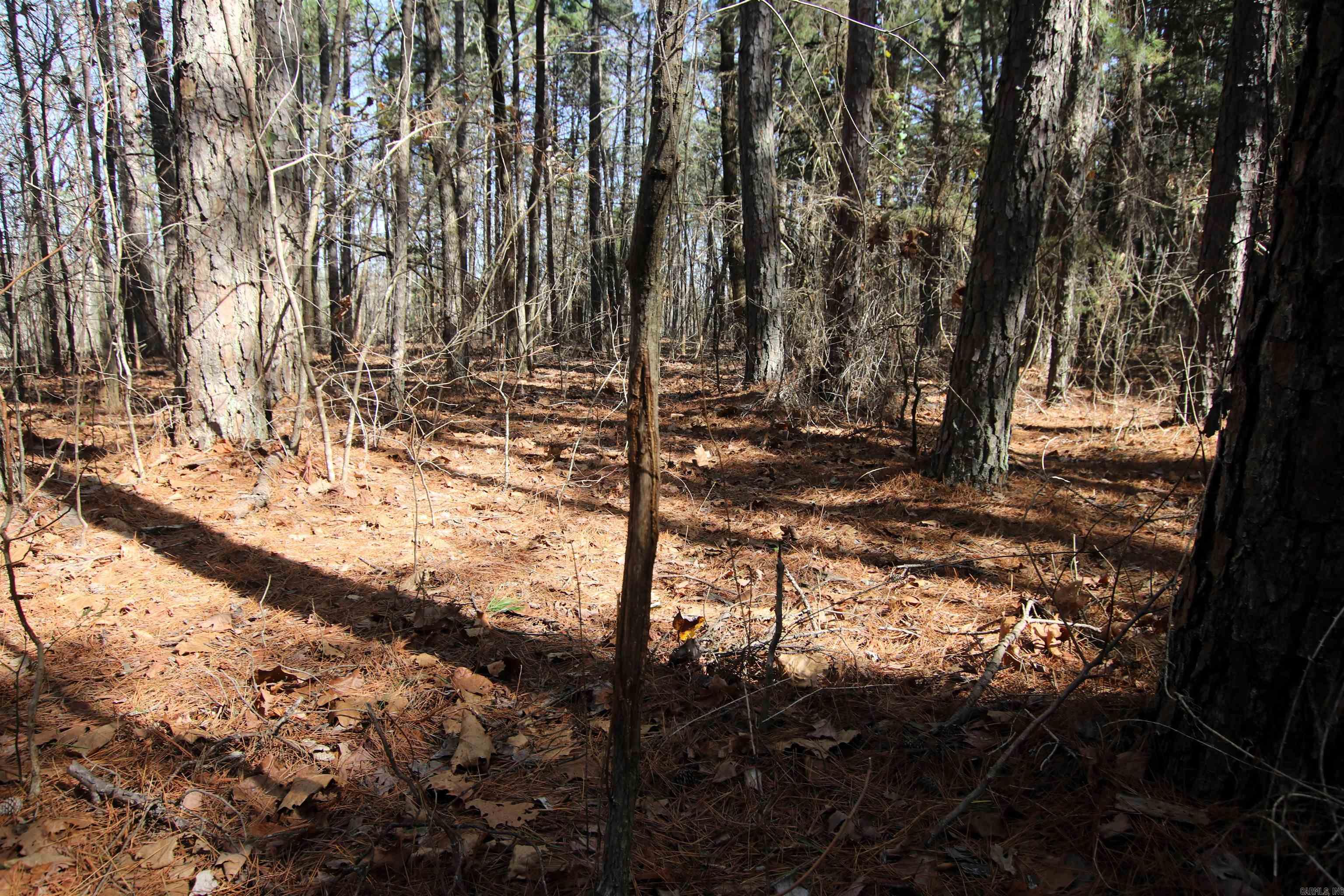 2986 E Mountain  Clinton, AR