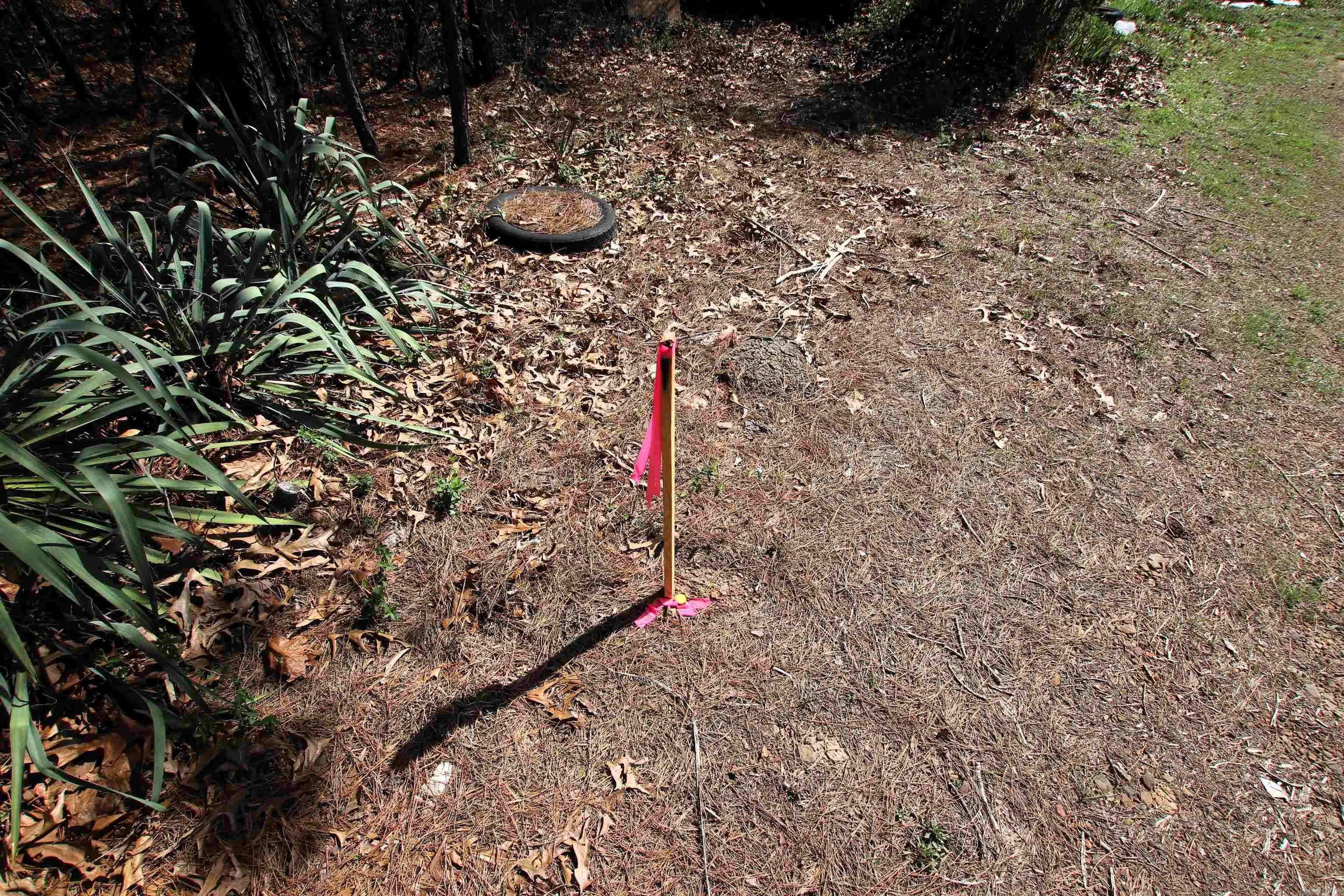 2986 E Mountain  Clinton, AR