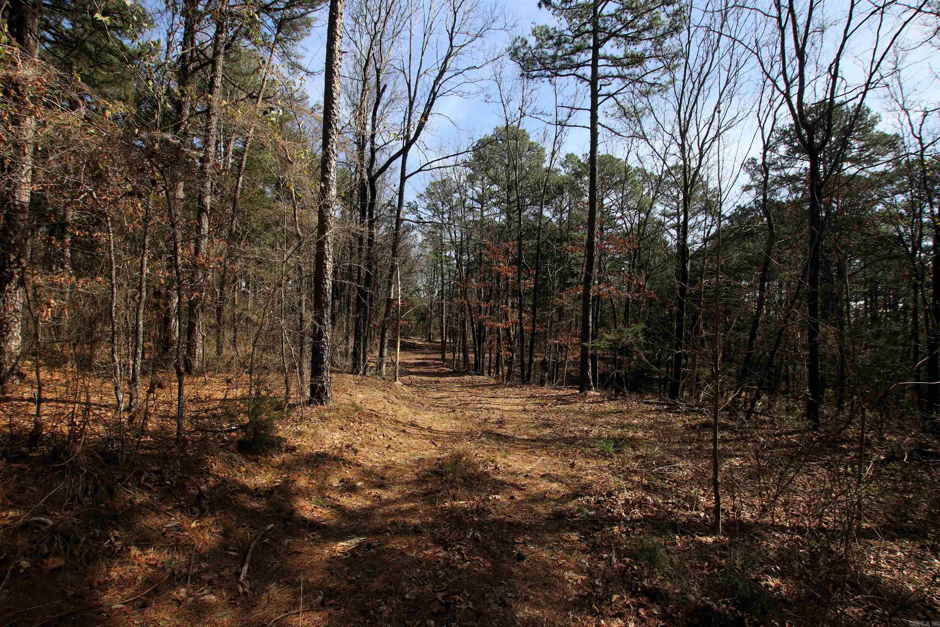 2986 E Mountain  Clinton, AR