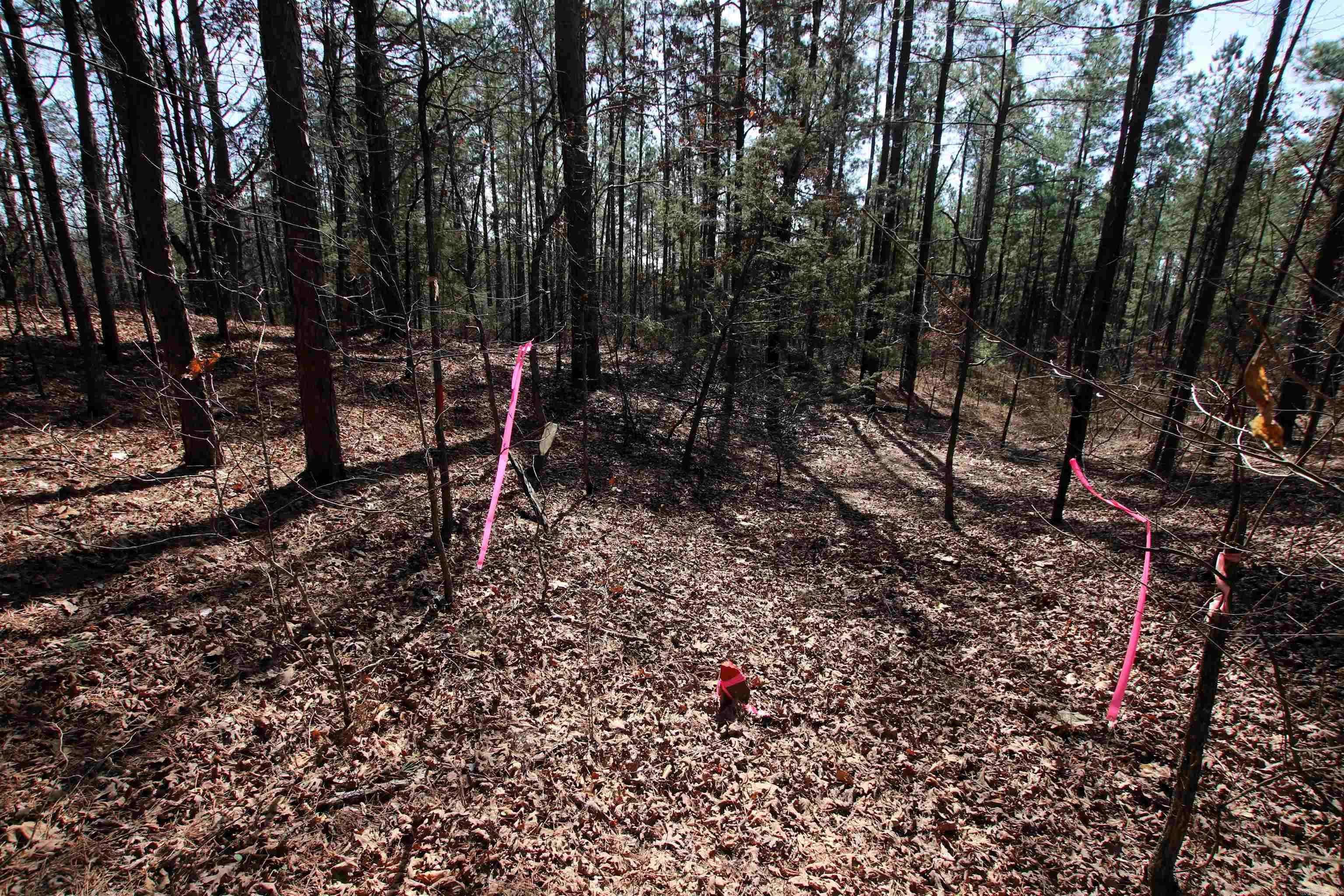 2986 E Mountain  Clinton, AR