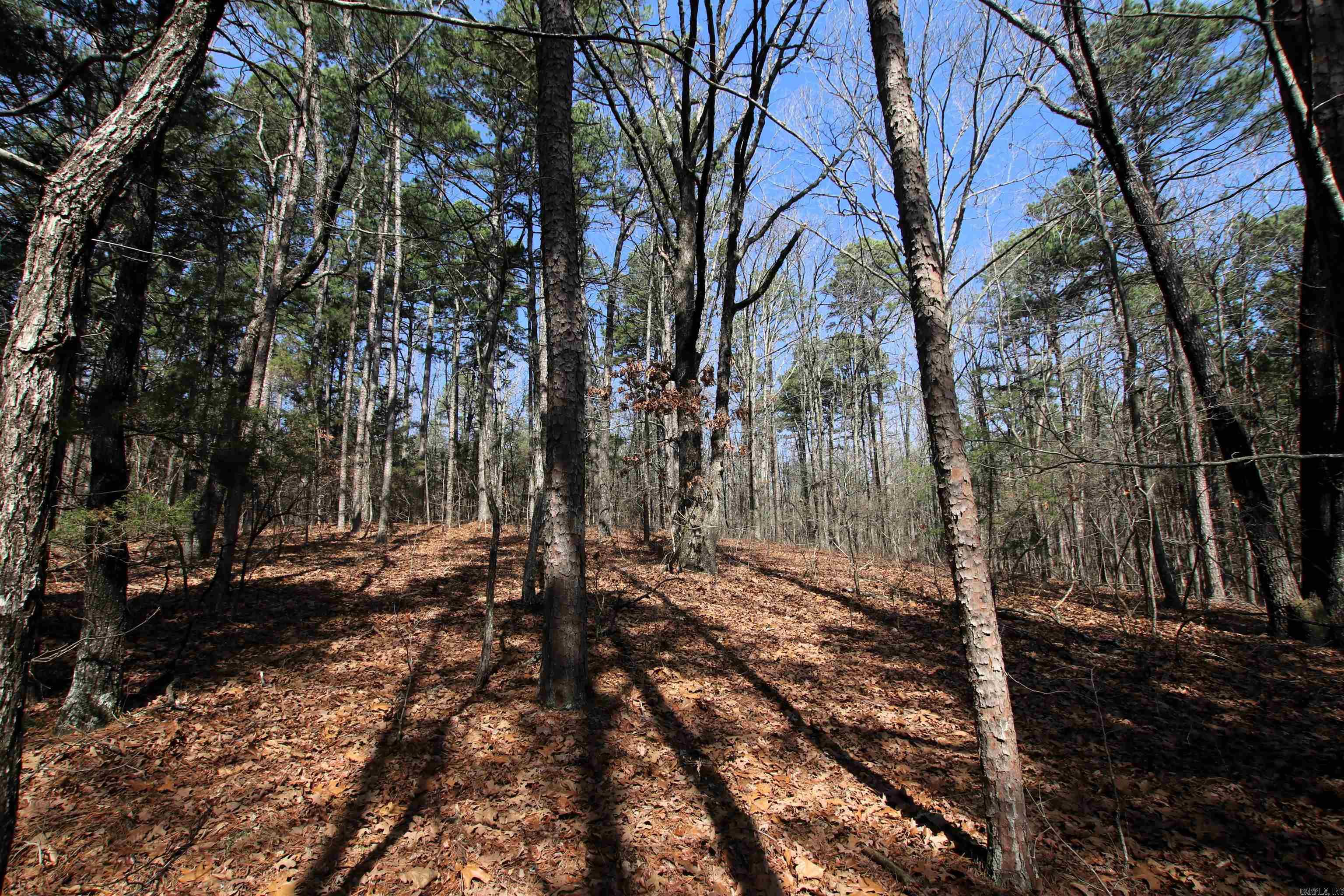 2986 E Mountain  Clinton, AR