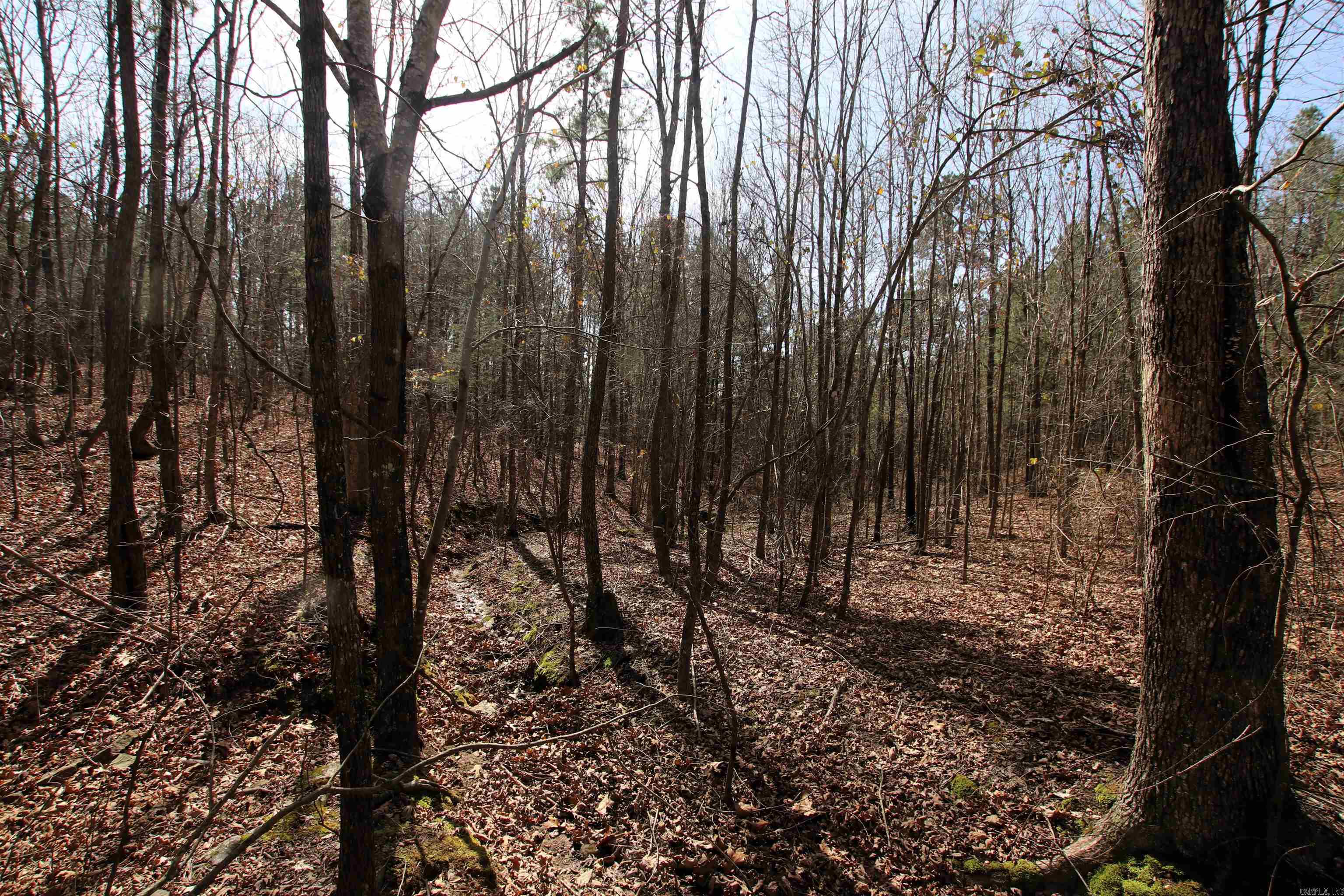 2986 E Mountain  Clinton, AR