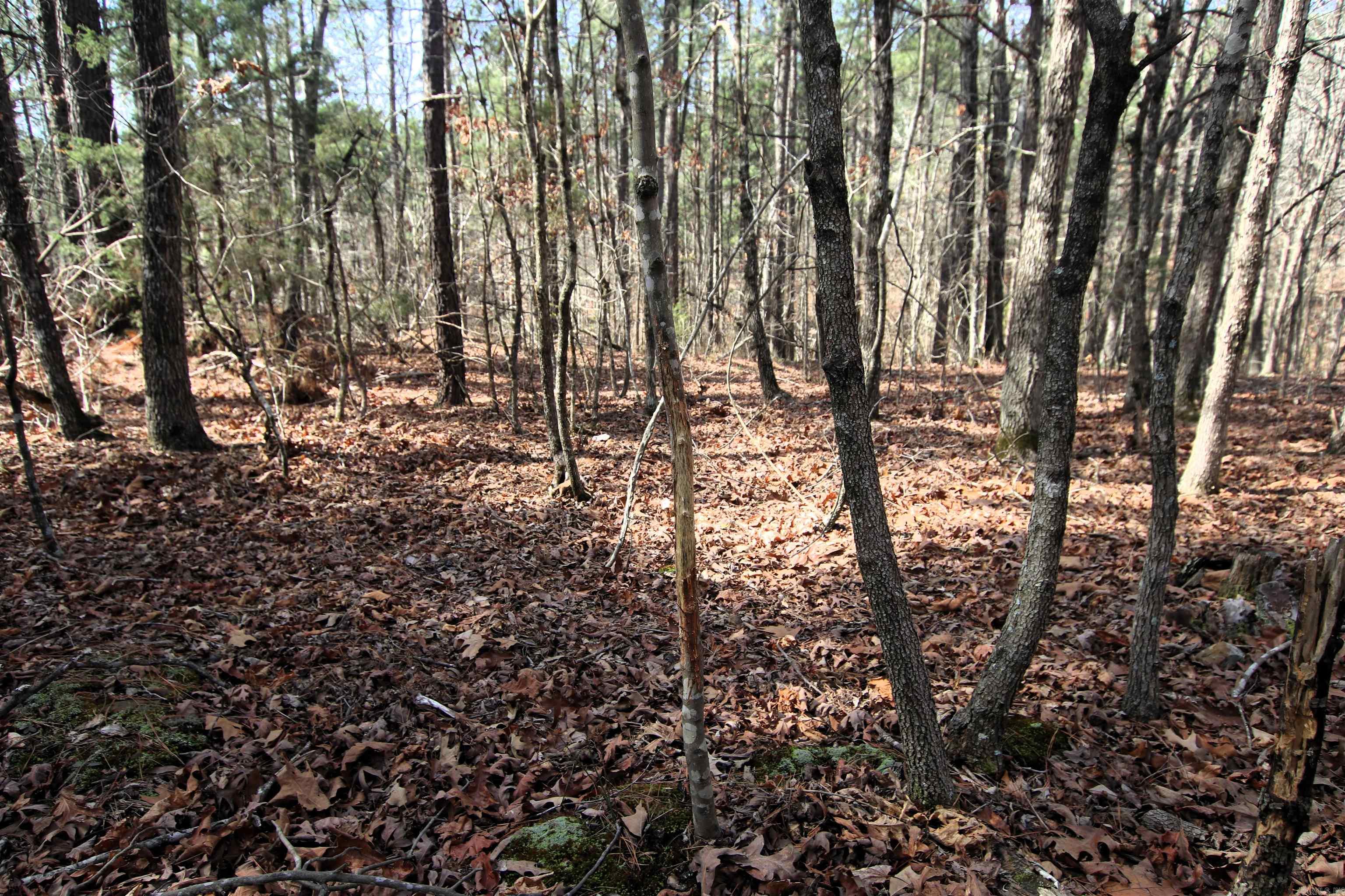 2986 E Mountain  Clinton, AR