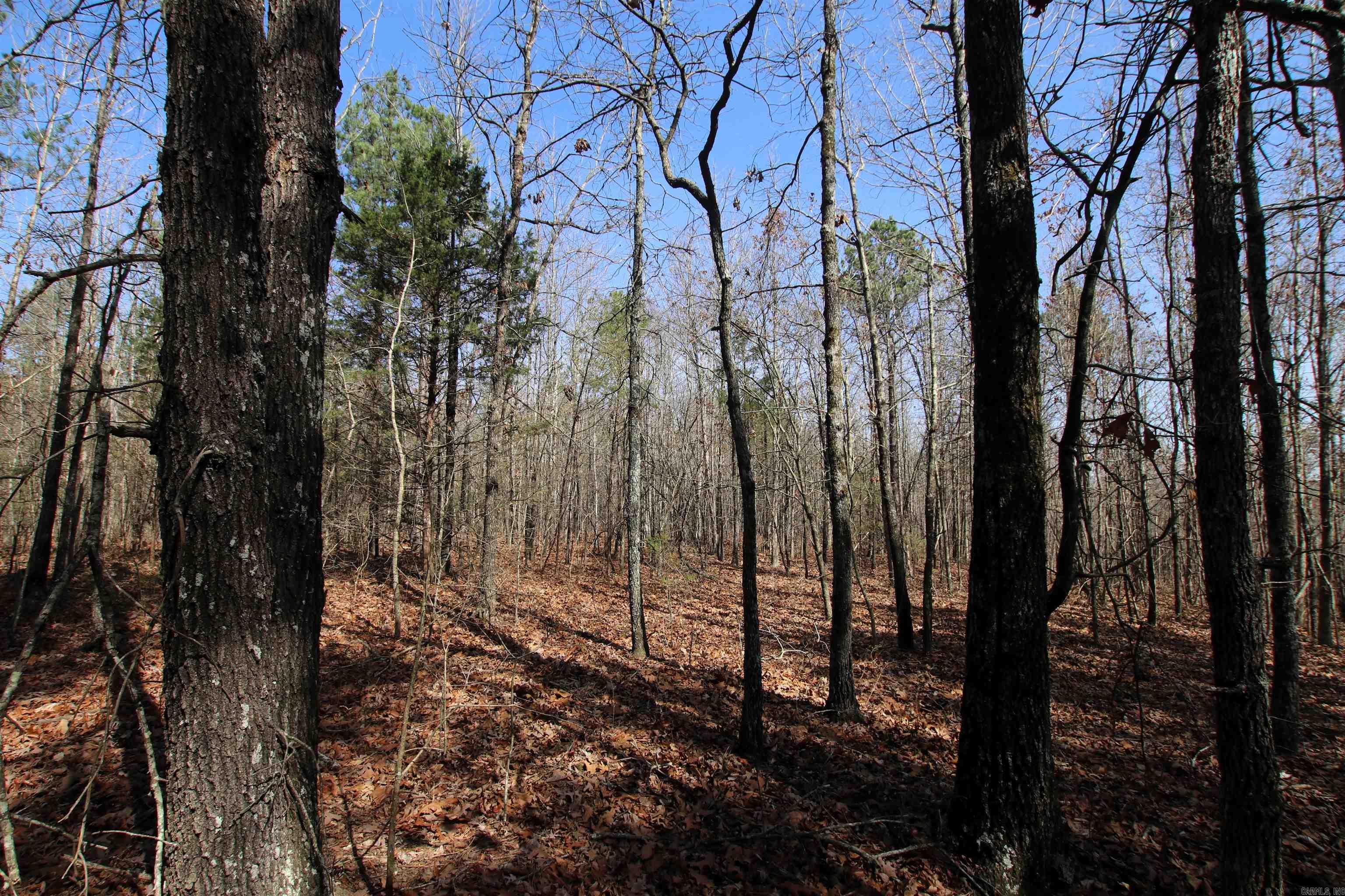 2986 E Mountain  Clinton, AR