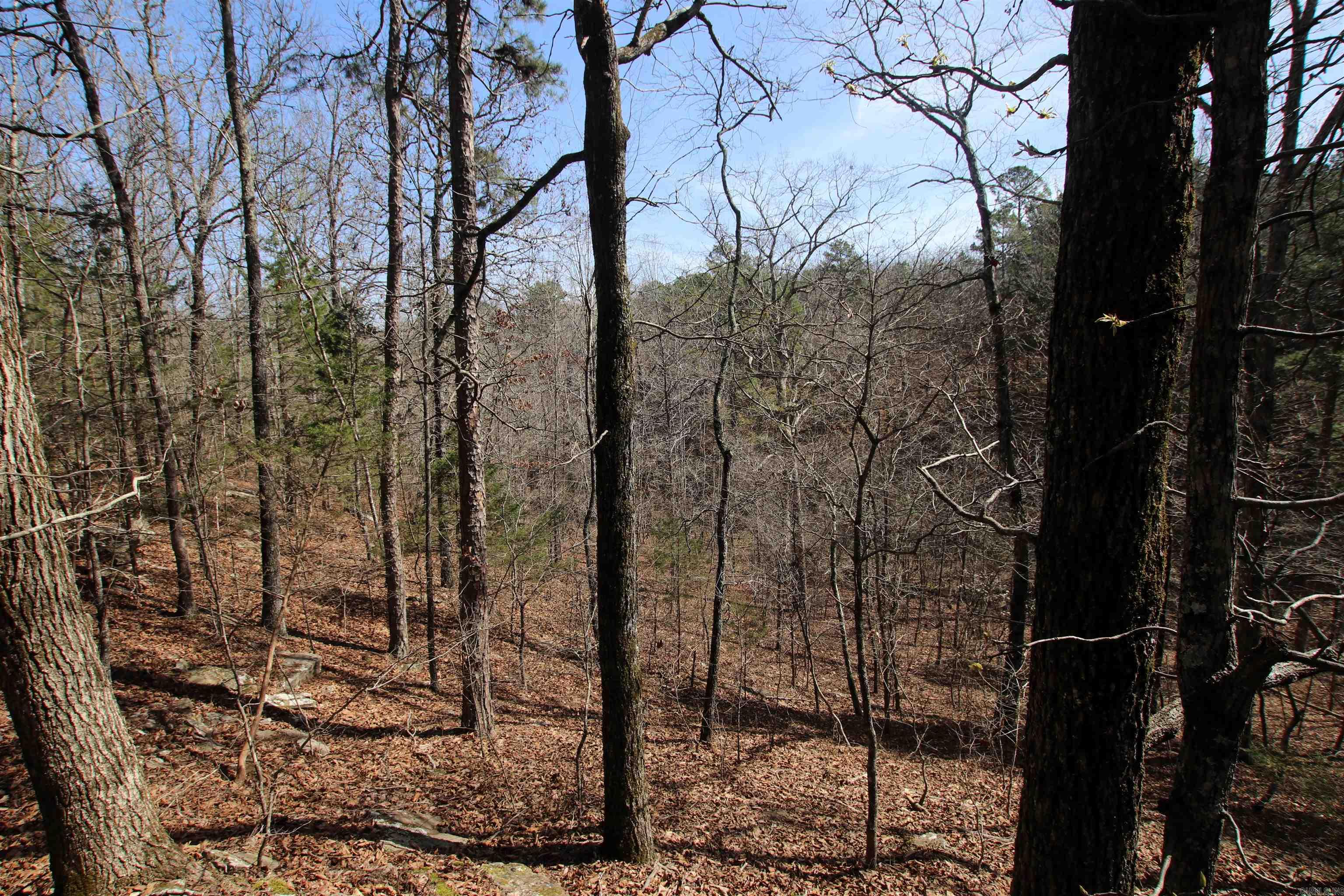 2986 E Mountain  Clinton, AR