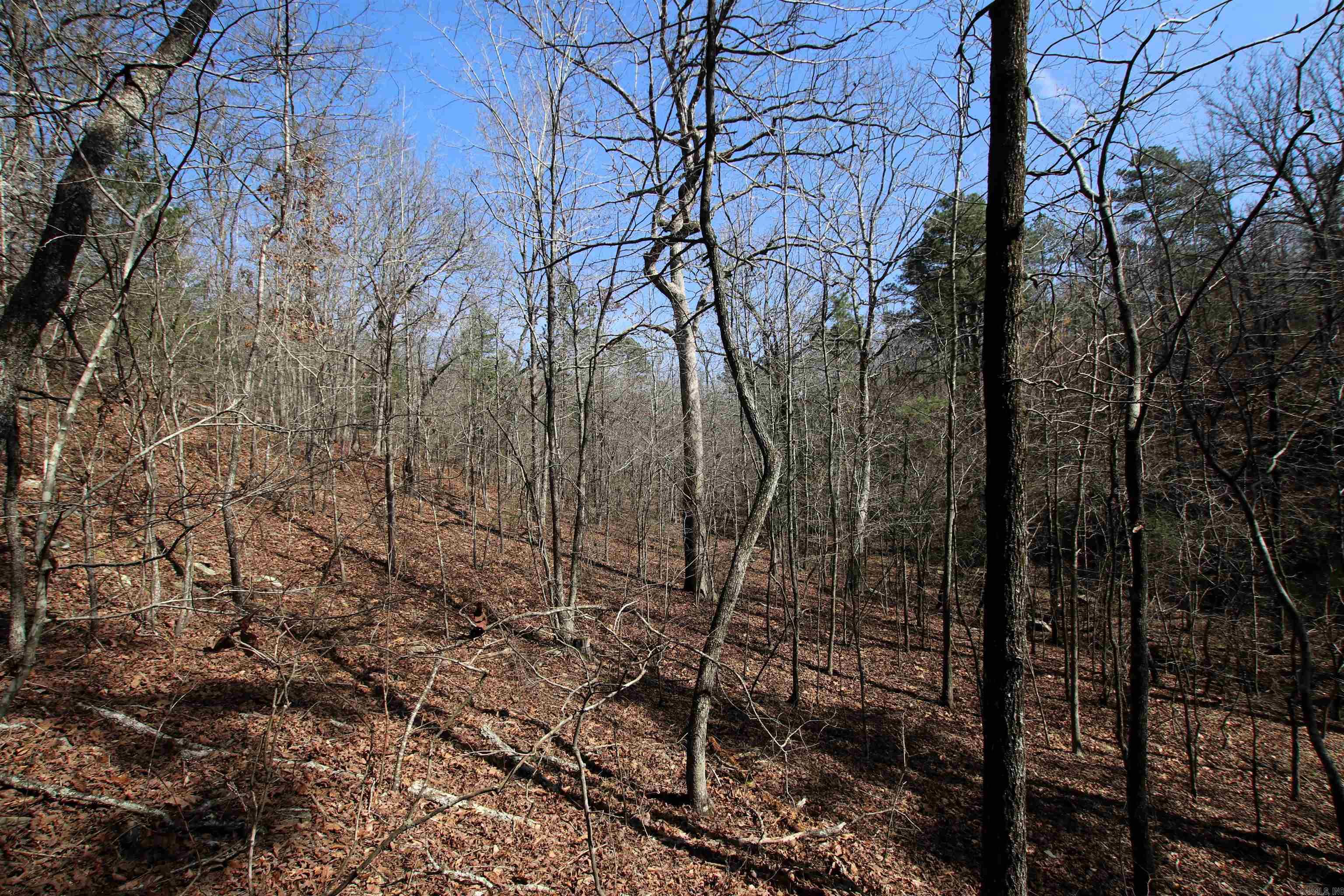 2986 E Mountain  Clinton, AR