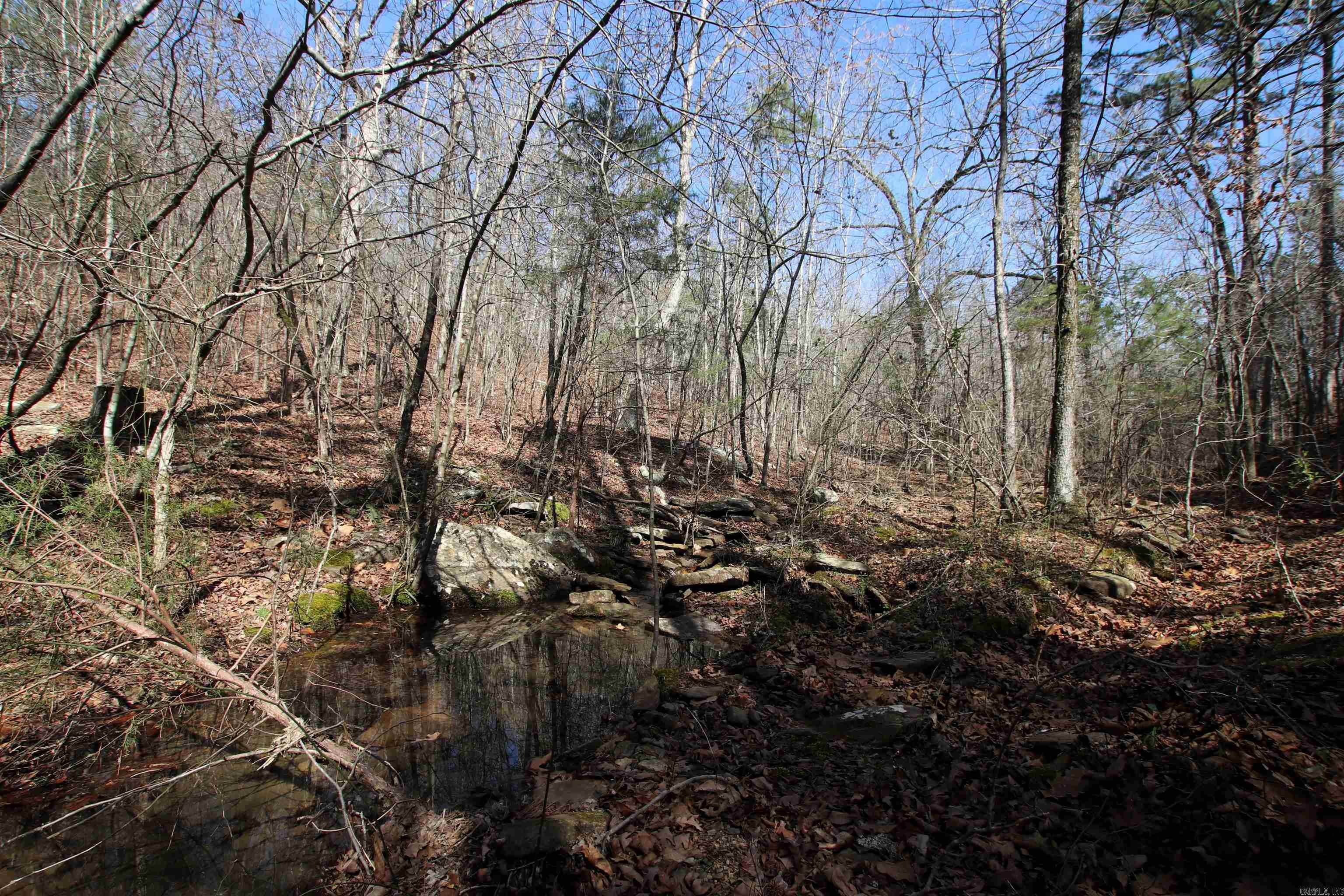 2986 E Mountain  Clinton, AR