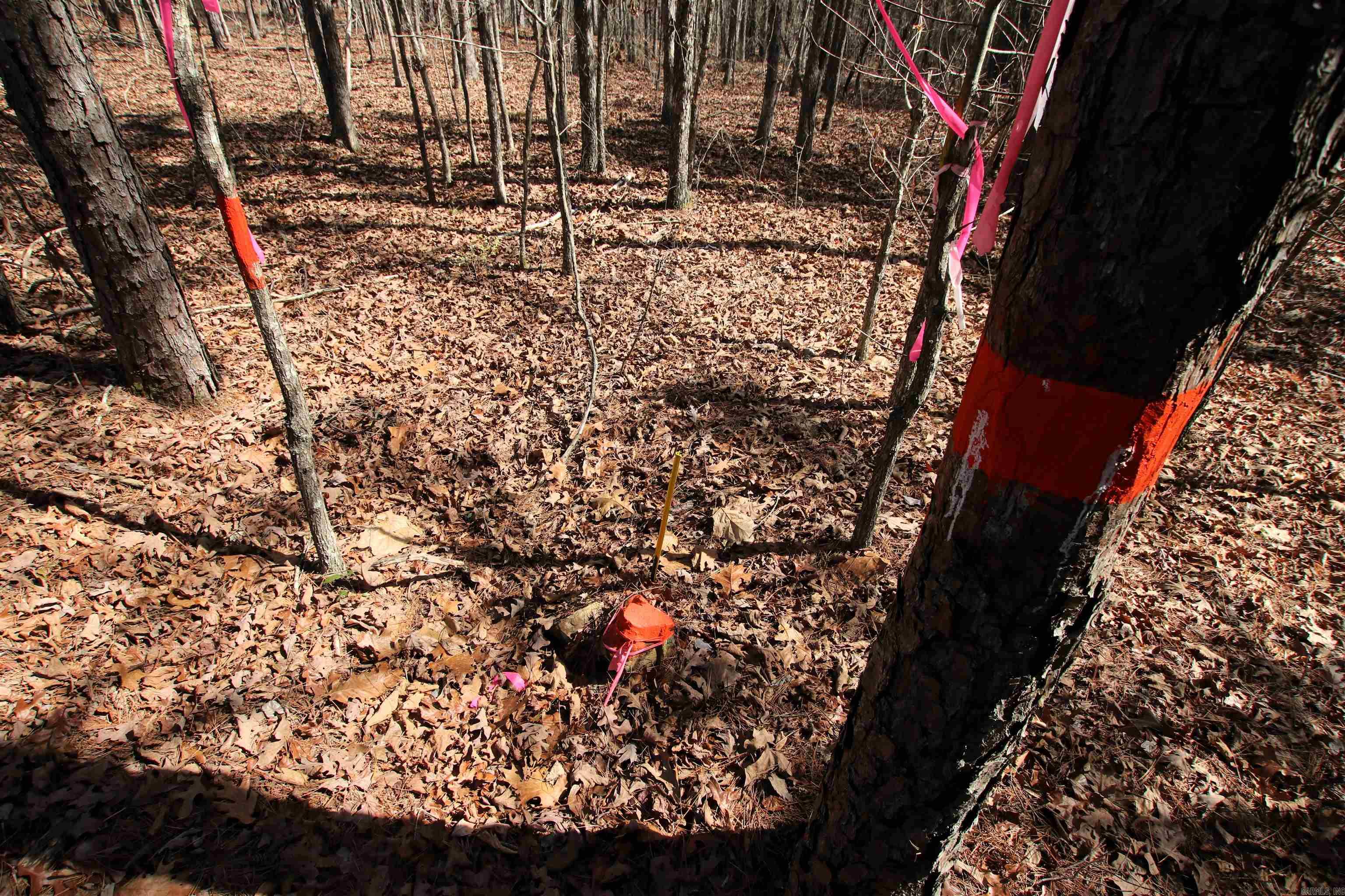 2986 E Mountain  Clinton, AR