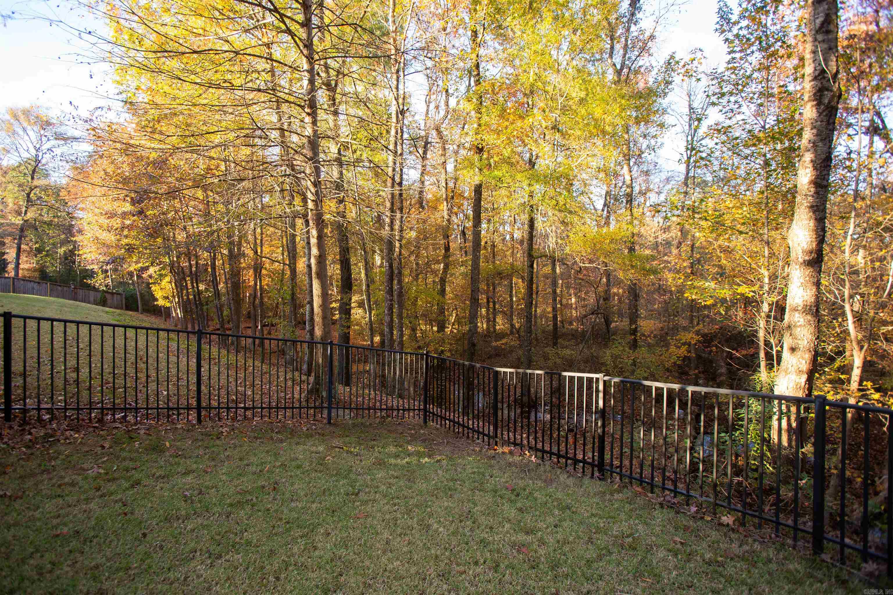 12 Witry  Little Rock, AR