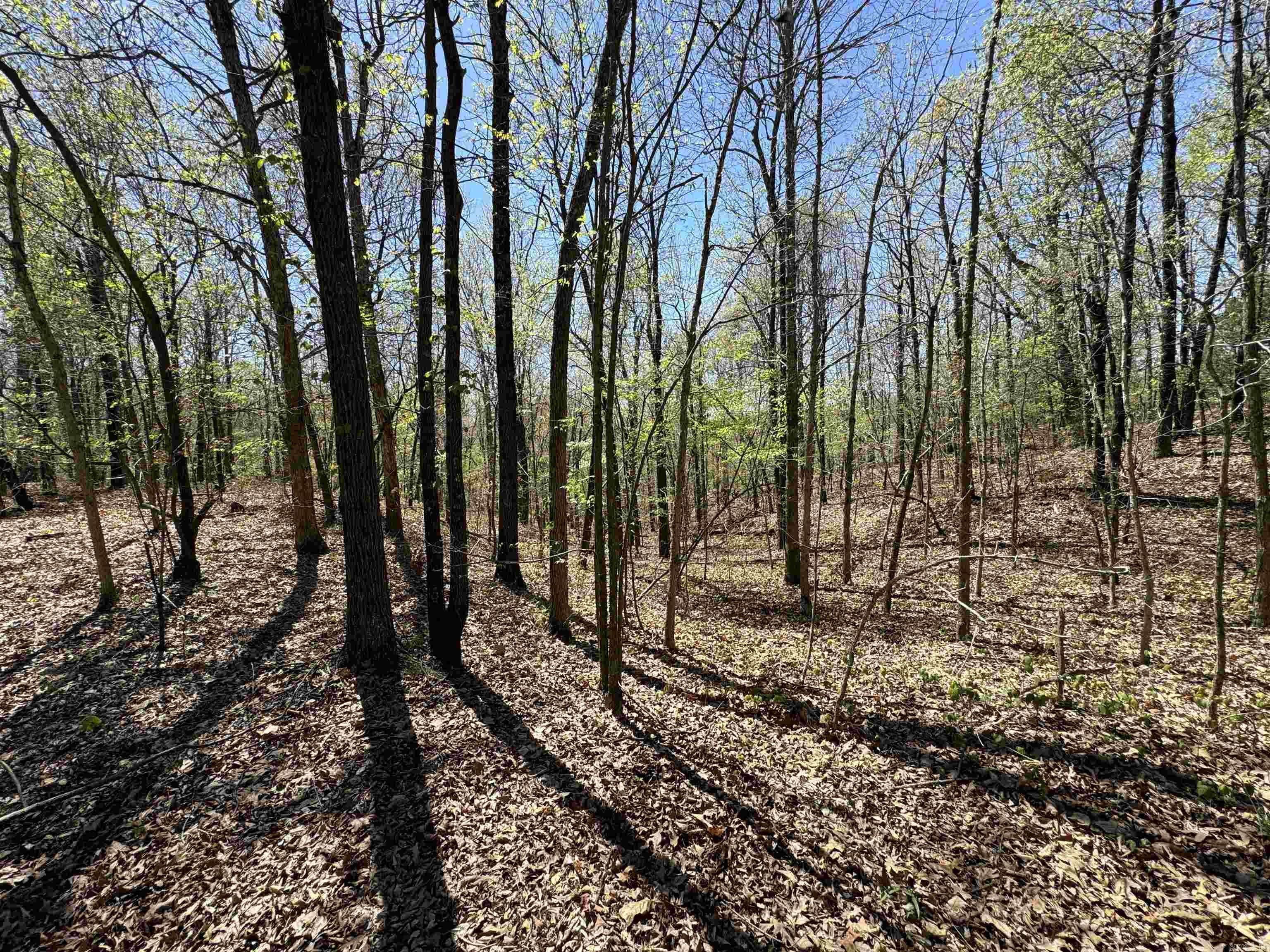 0 clay rd 431  Pollard, AR