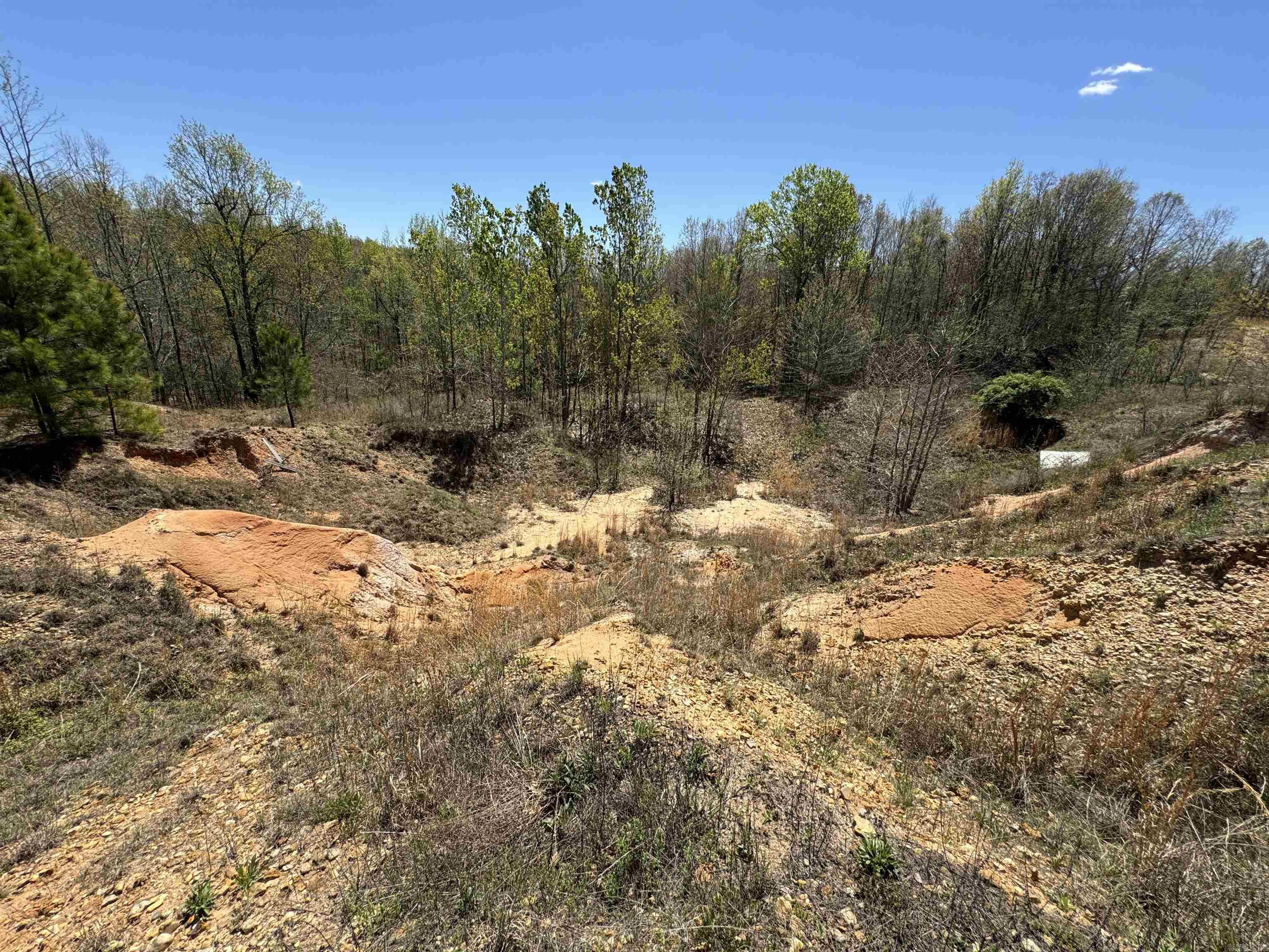 0 clay rd 431  Pollard, AR