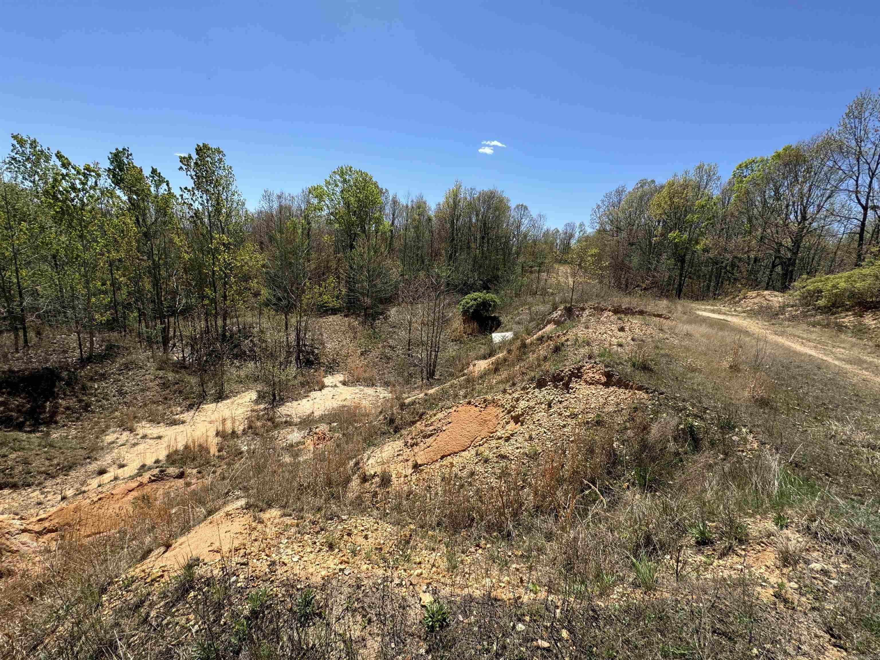 0 clay rd 431  Pollard, AR