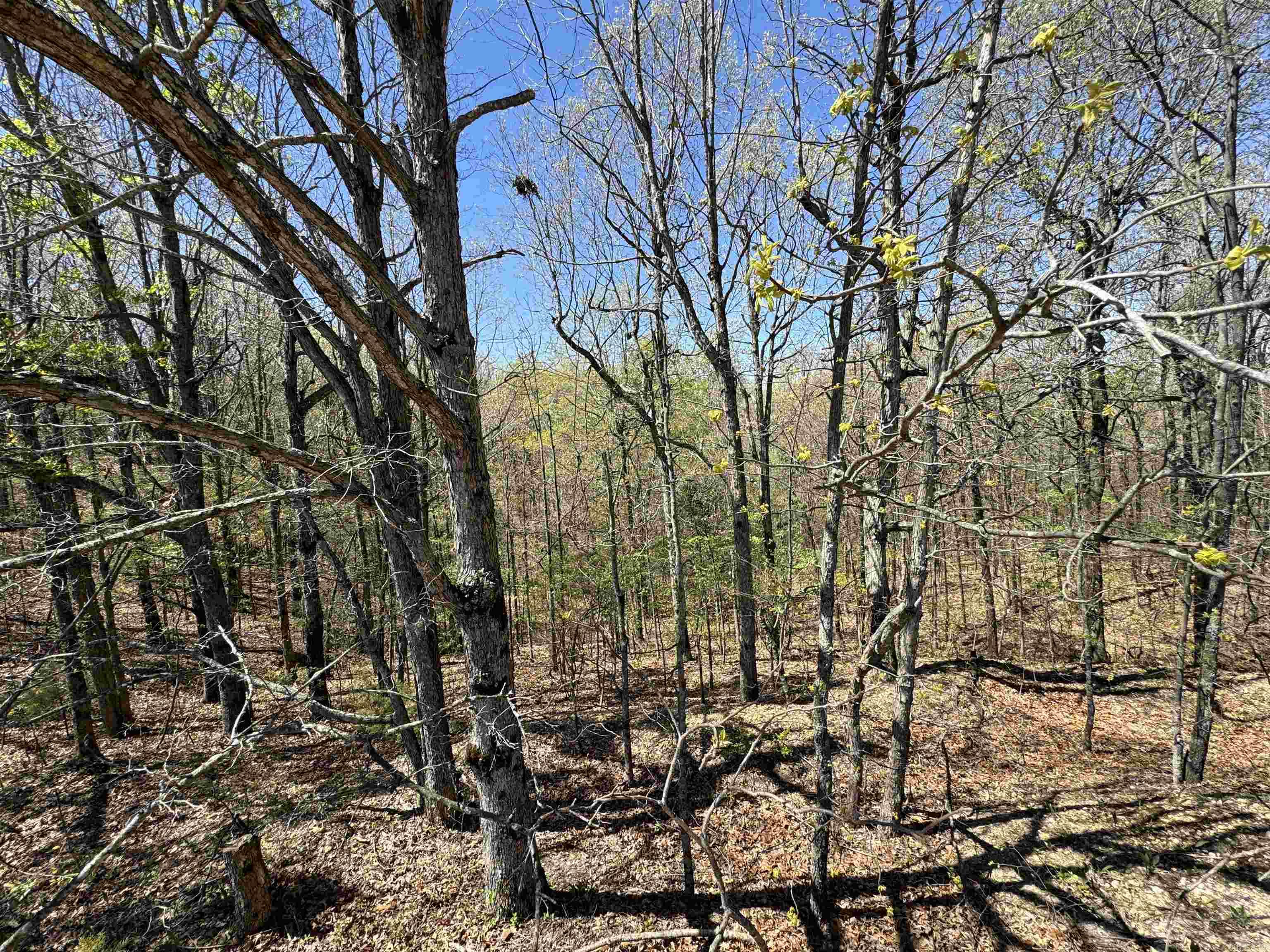 0 clay rd 431  Pollard, AR