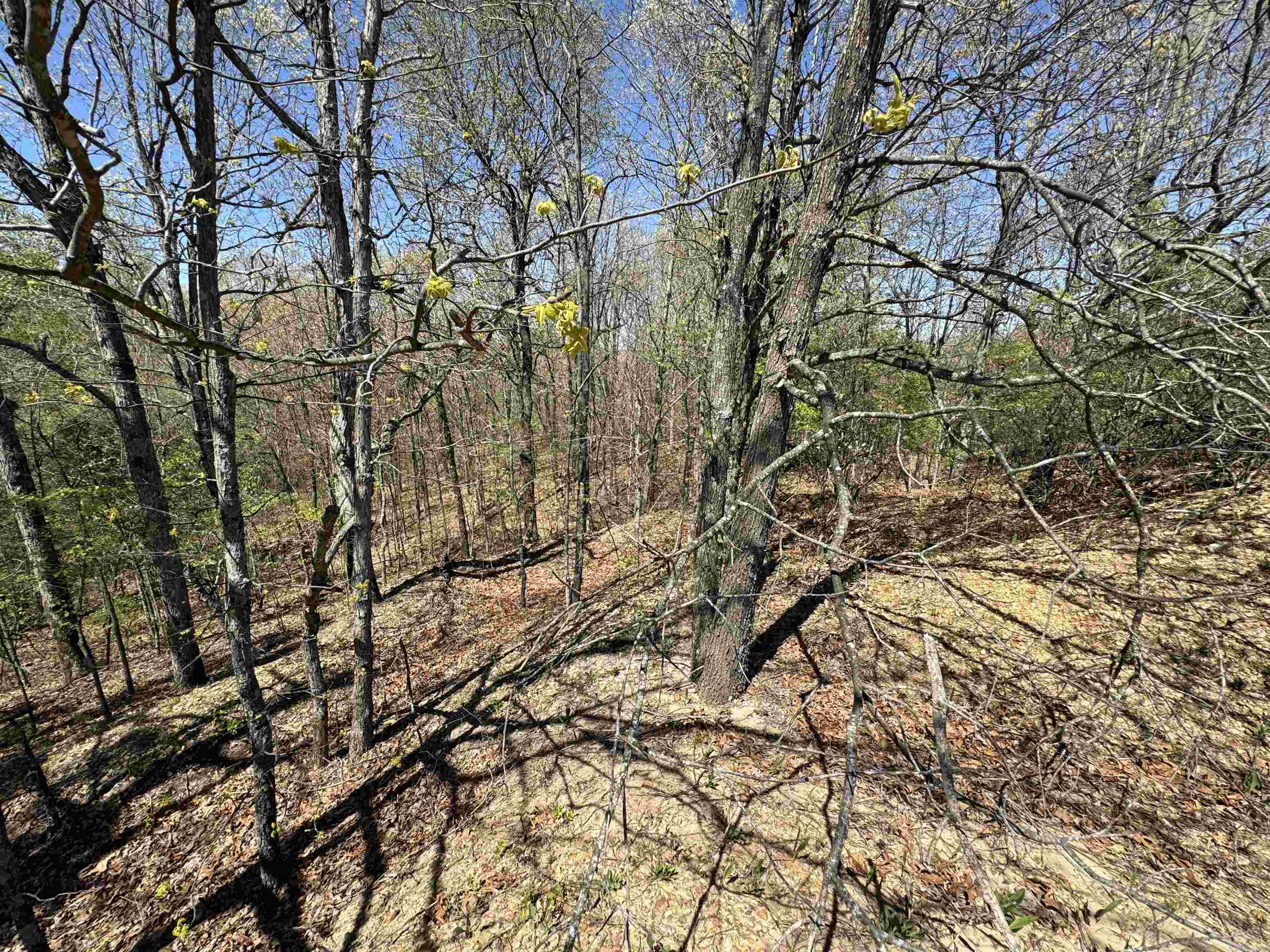 0 clay rd 431  Pollard, AR