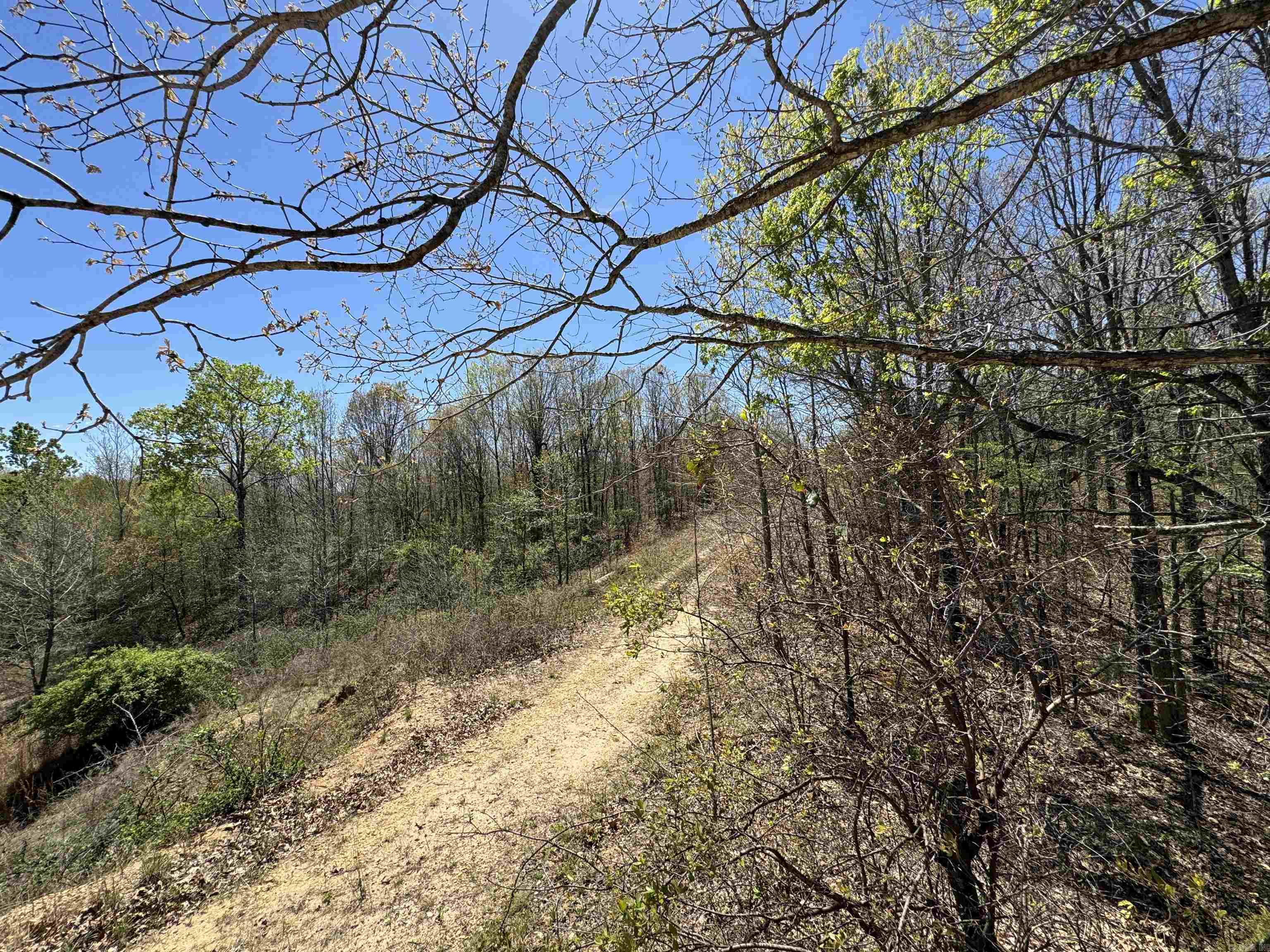 0 clay rd 431  Pollard, AR