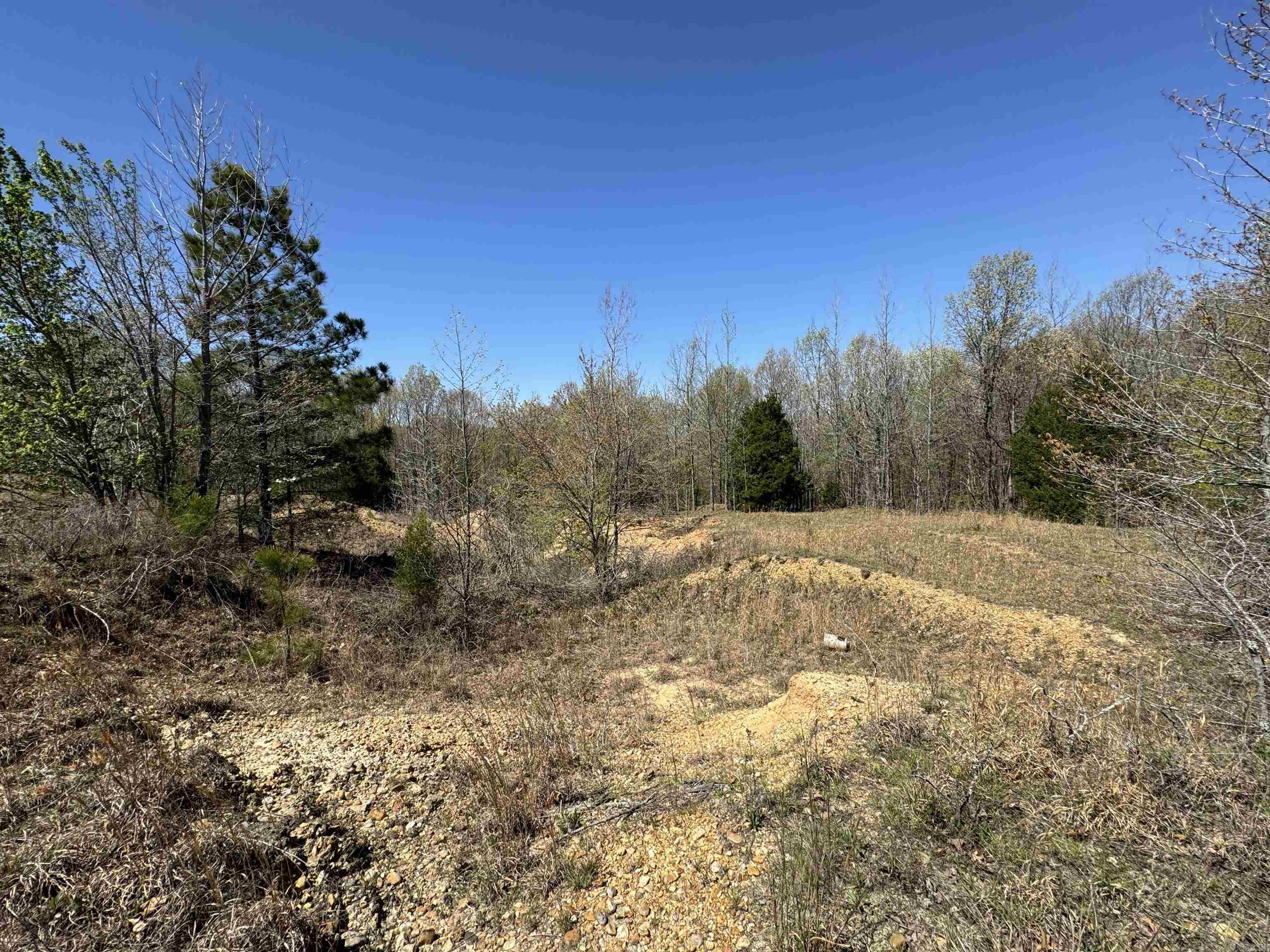 0 clay rd 431  Pollard, AR