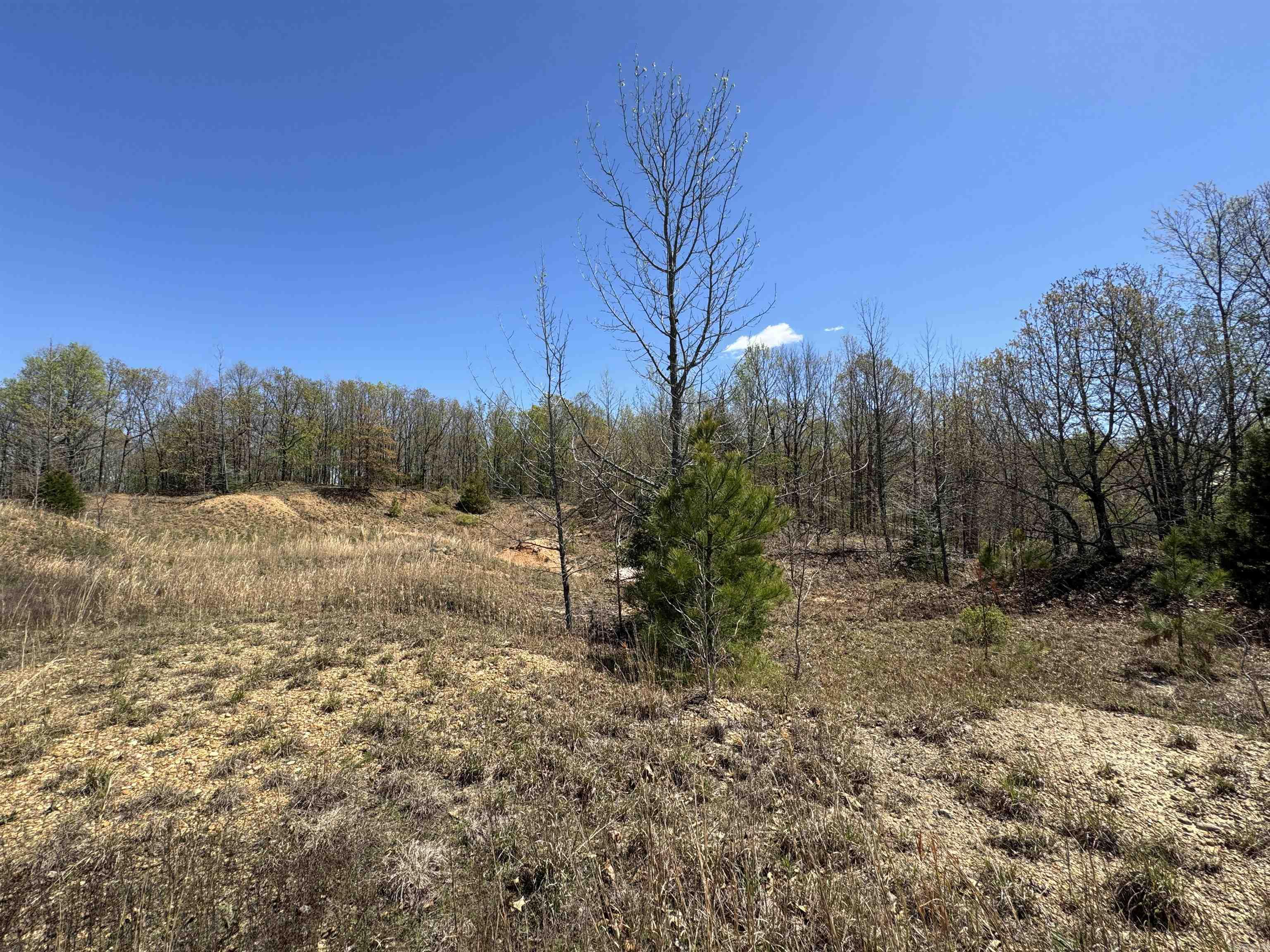 0 clay rd 431  Pollard, AR