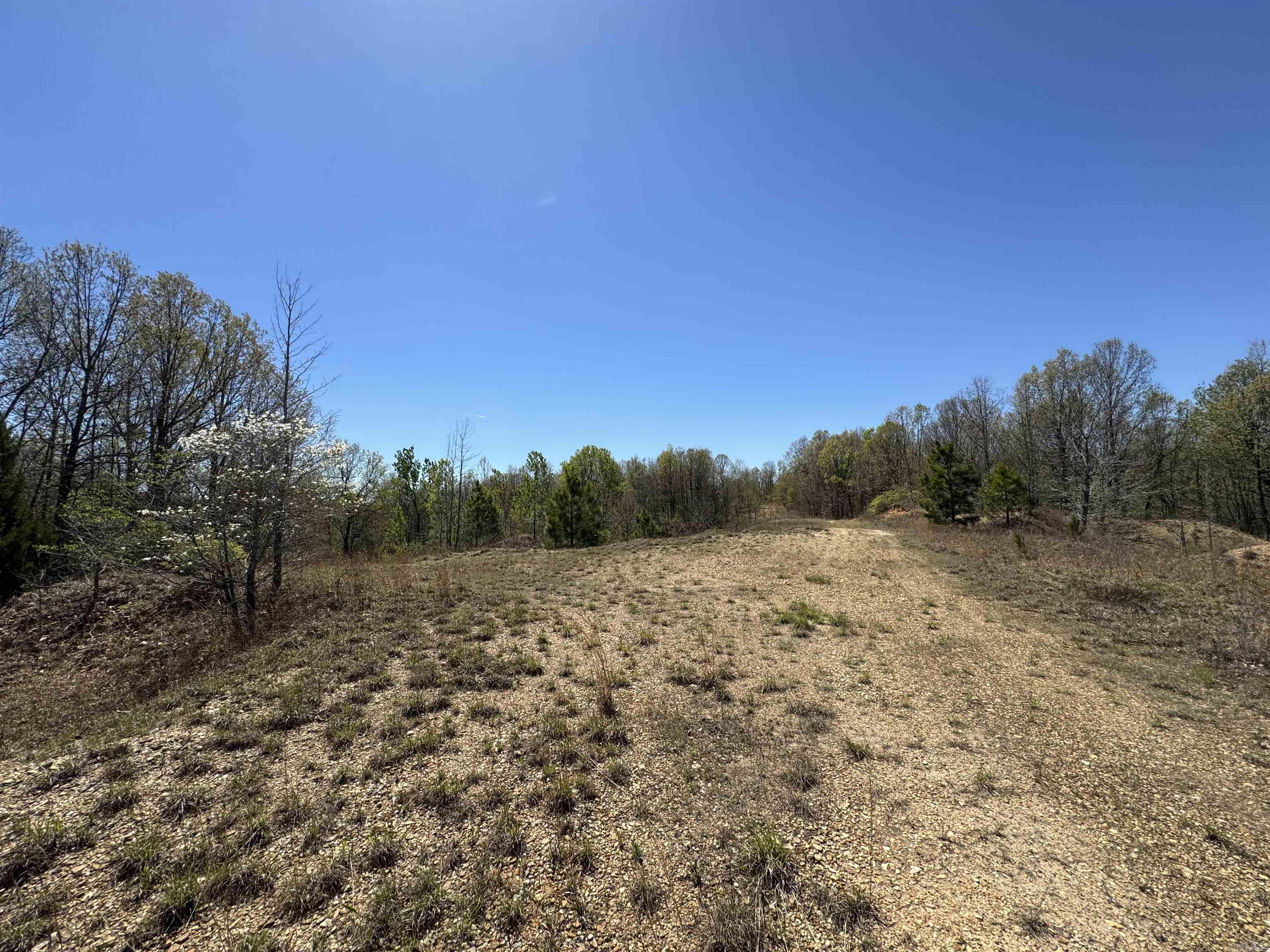 0 clay rd 431  Pollard, AR