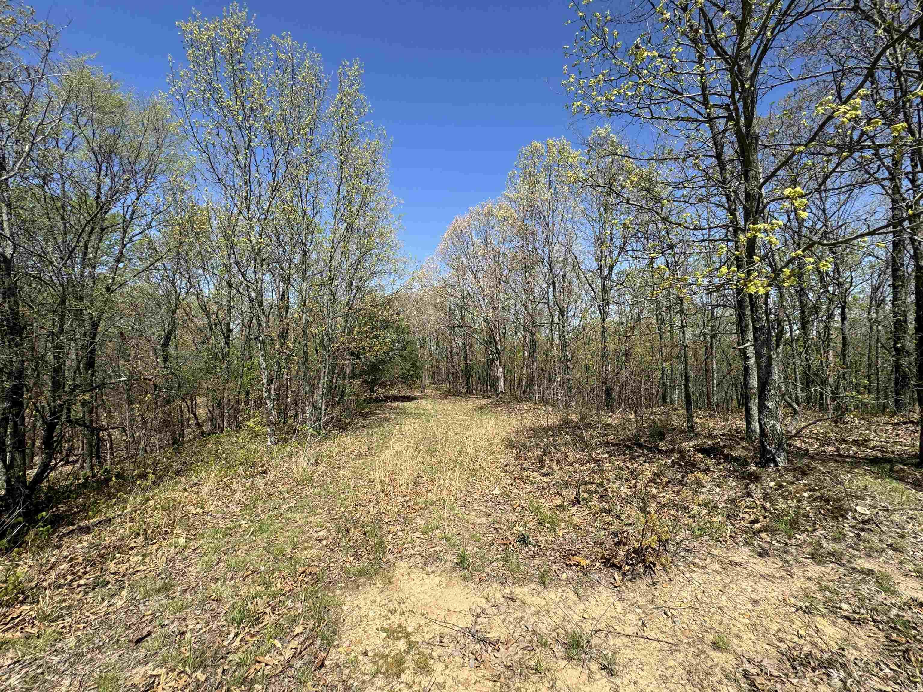 0 clay rd 431  Pollard, AR