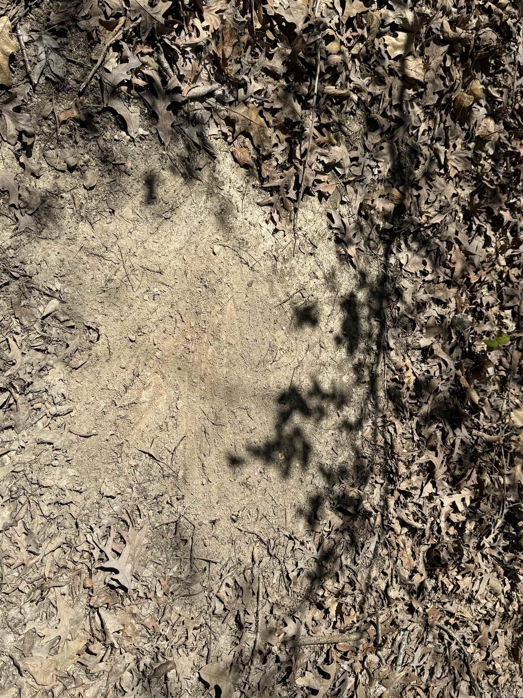 0 clay rd 431  Pollard, AR