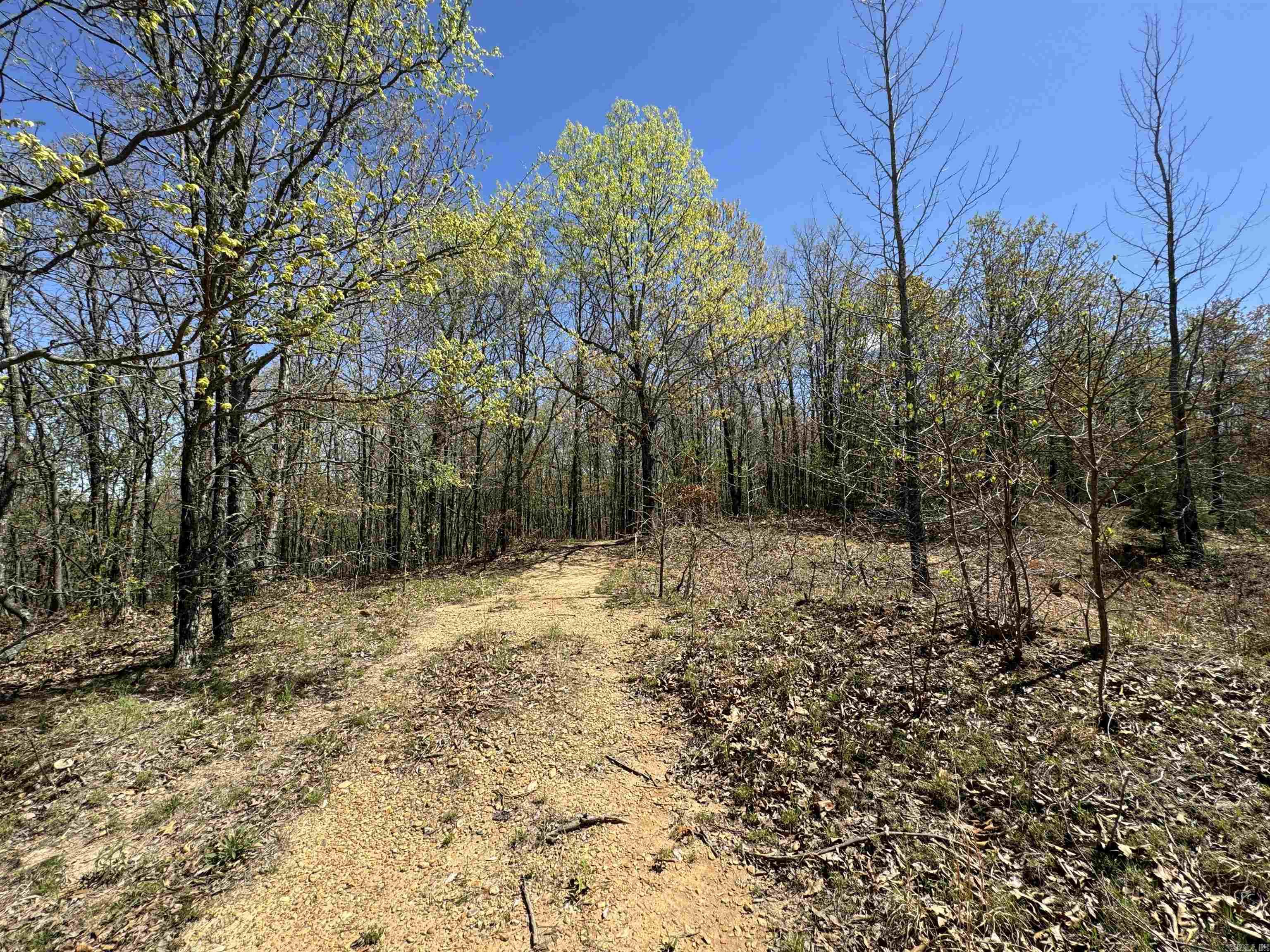 0 clay rd 431  Pollard, AR