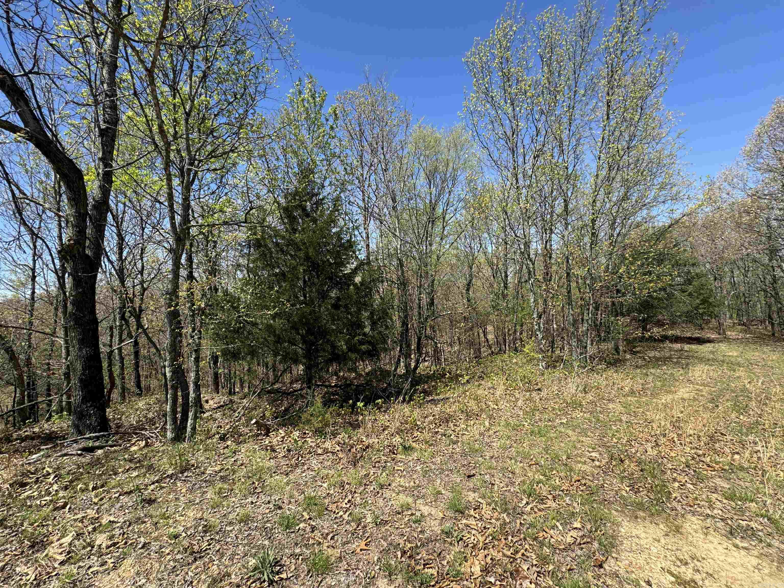 0 clay rd 431  Pollard, AR