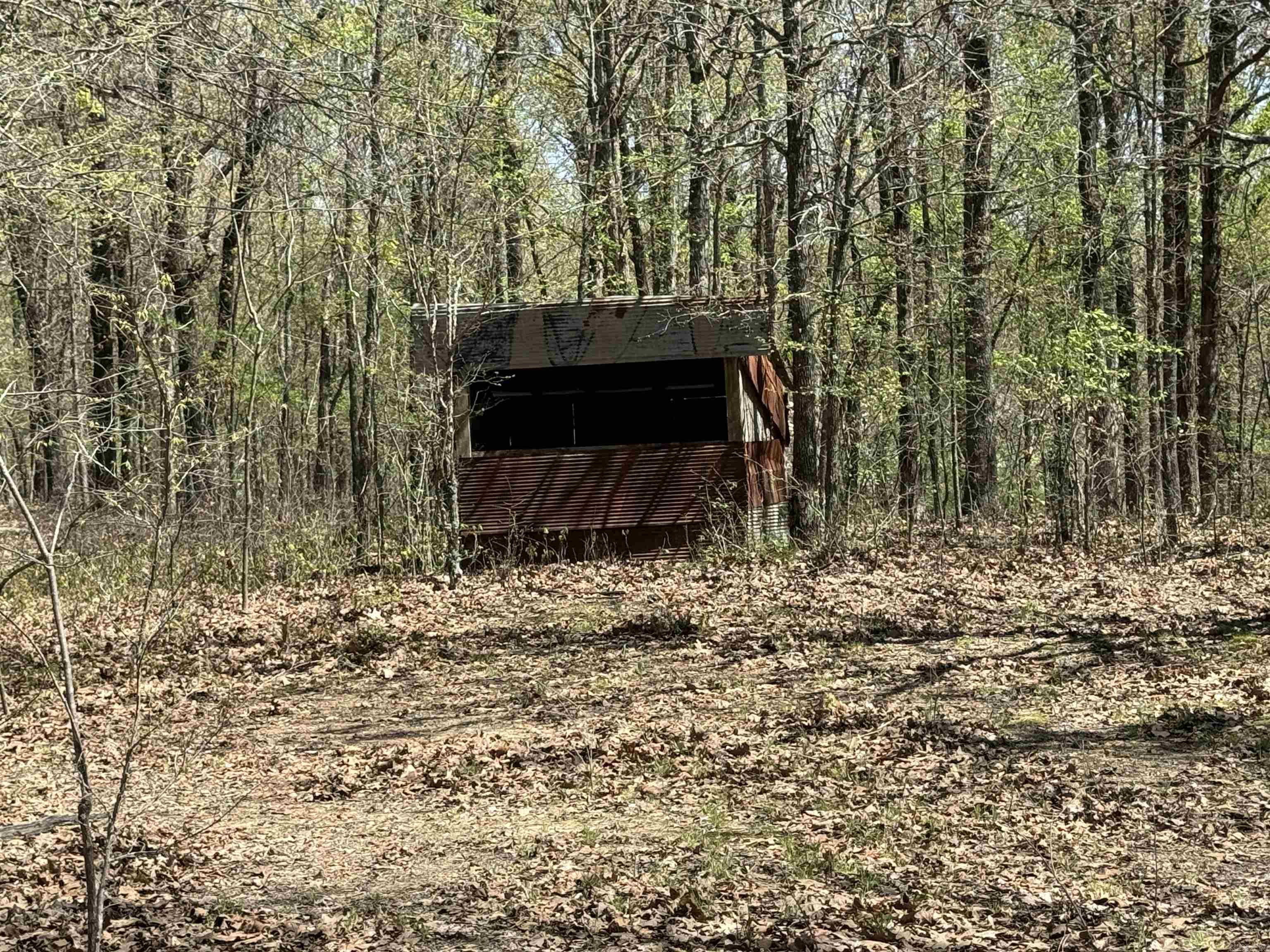 0 clay rd 431  Pollard, AR