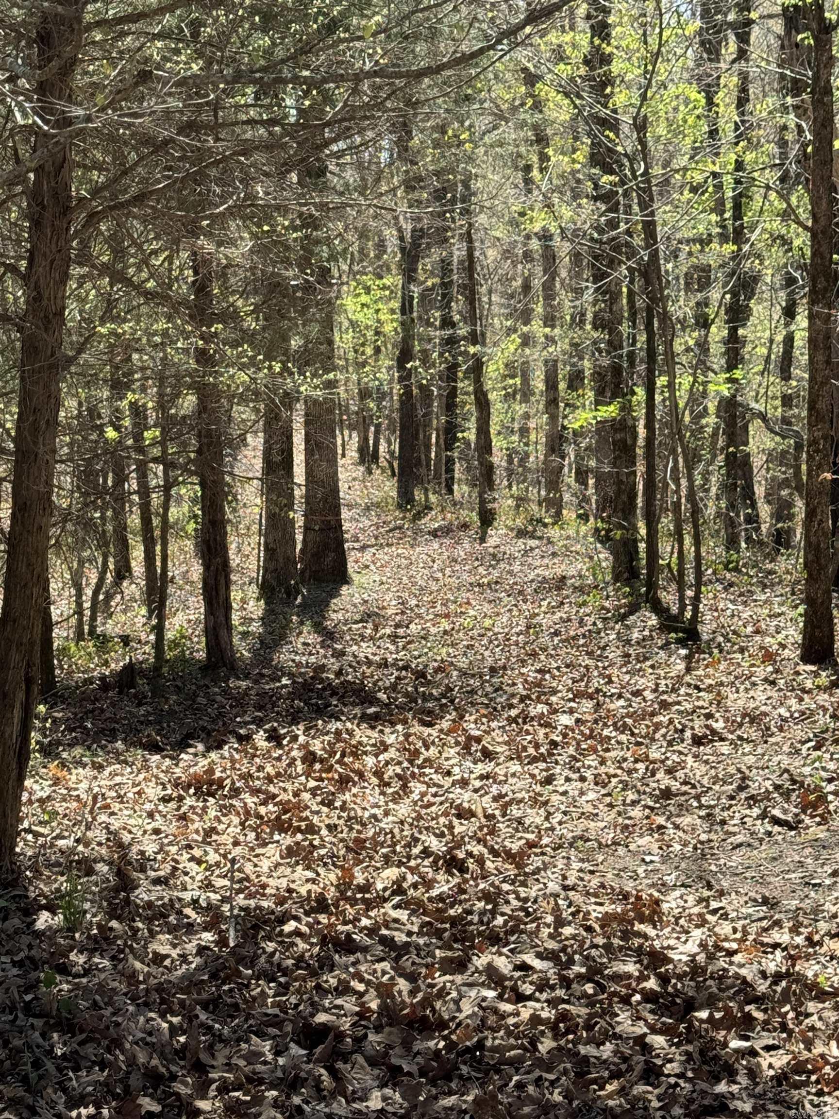 0 clay rd 431  Pollard, AR