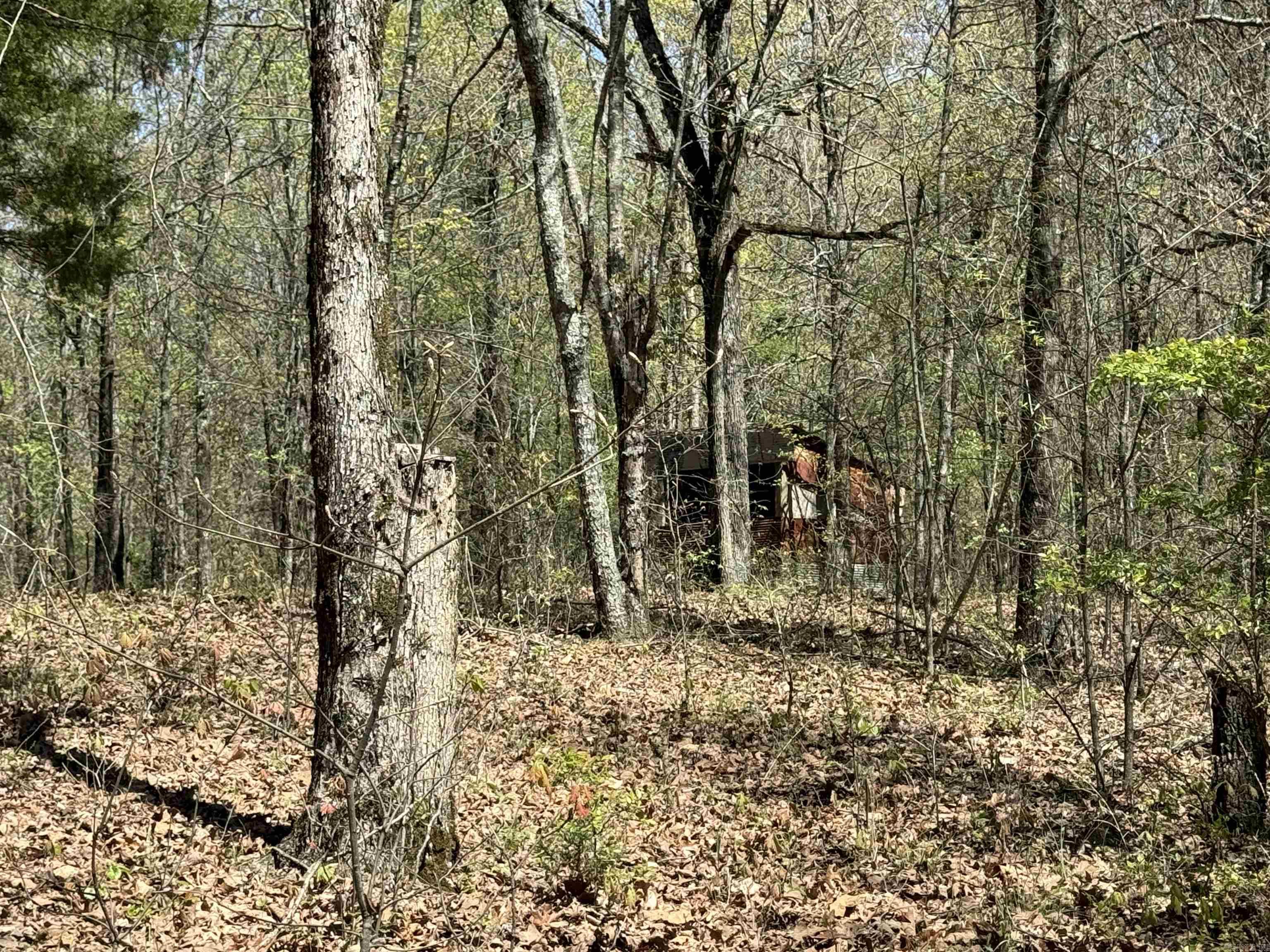 0 clay rd 431  Pollard, AR