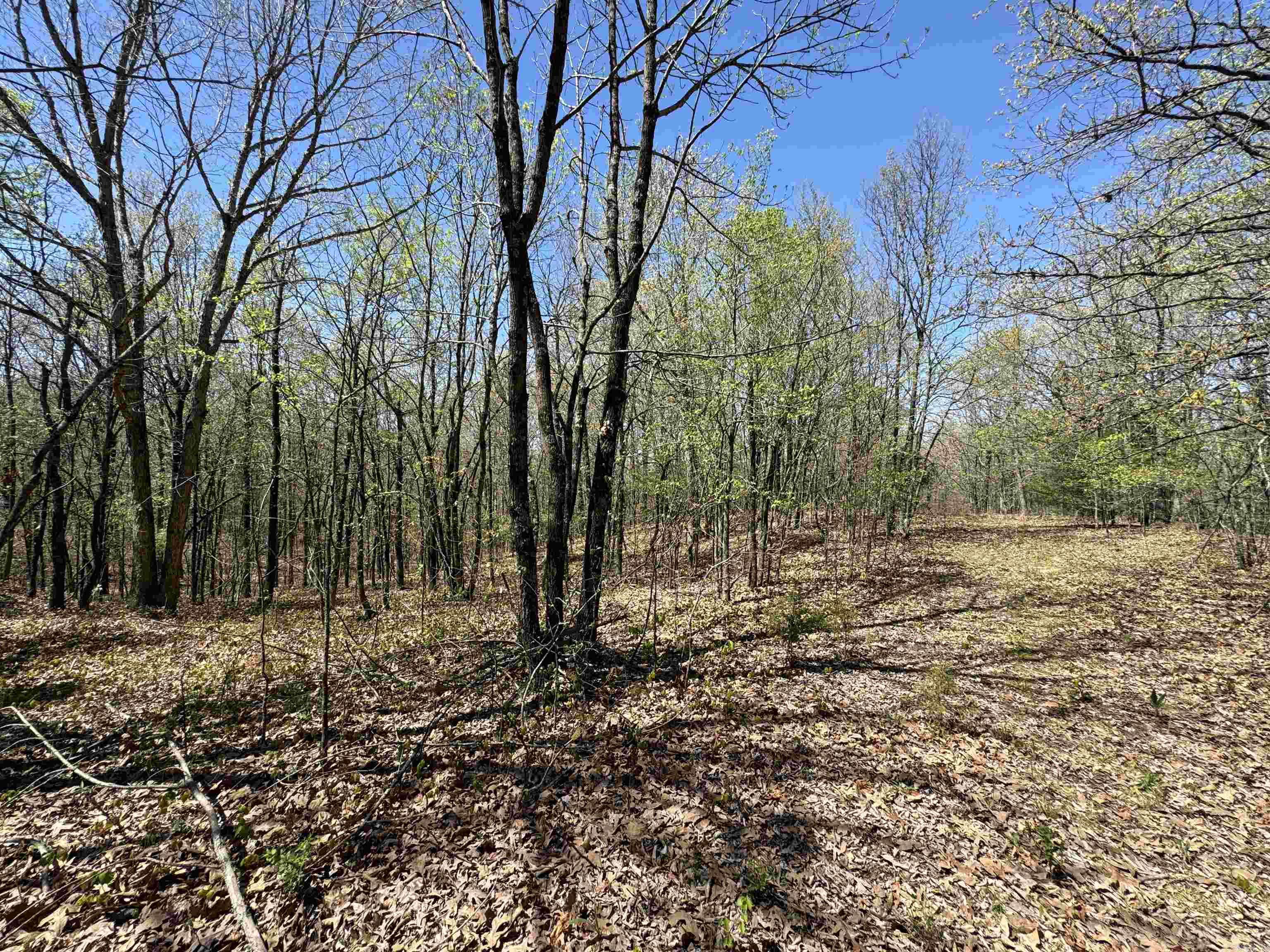 0 clay rd 431  Pollard, AR